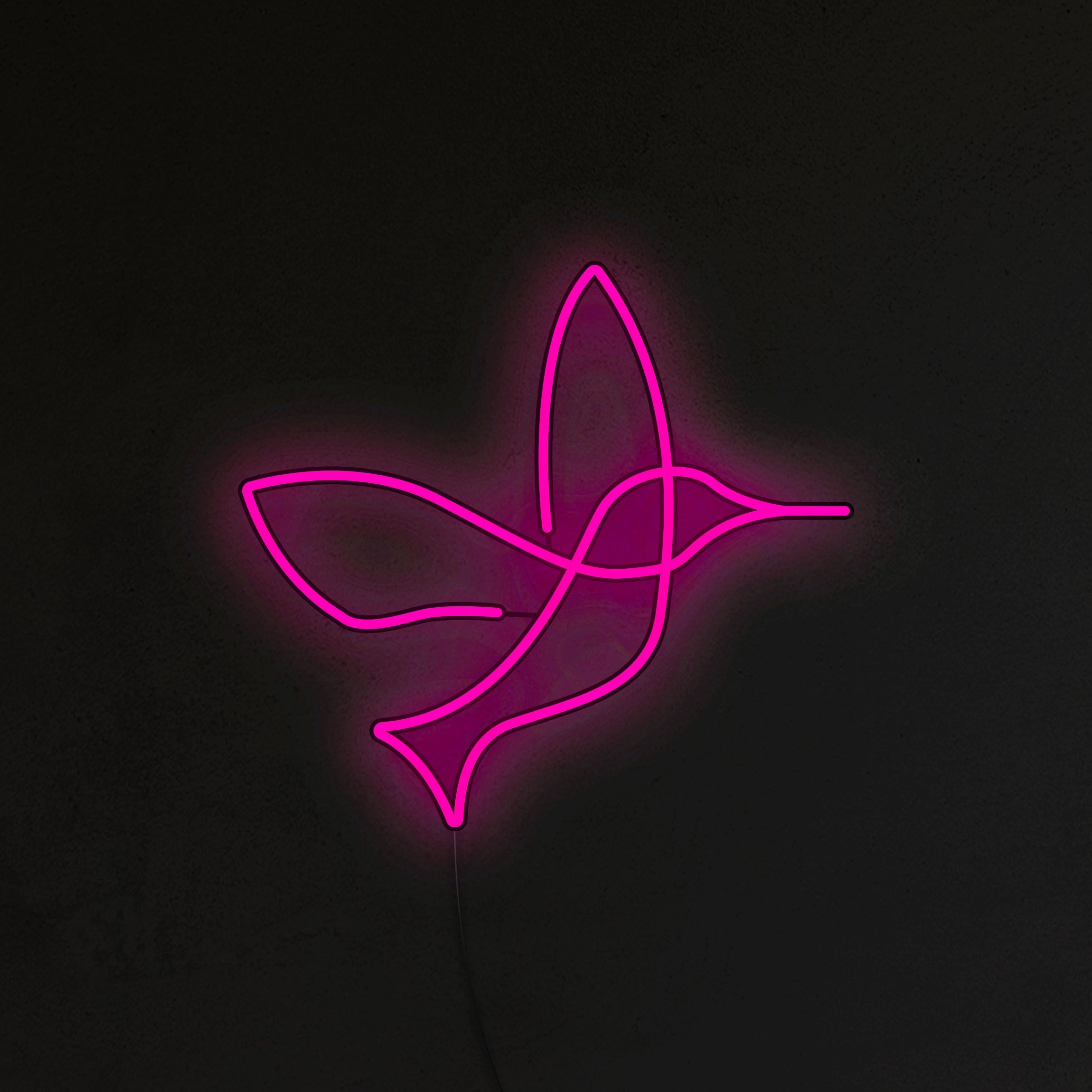 Koliber Neon LED