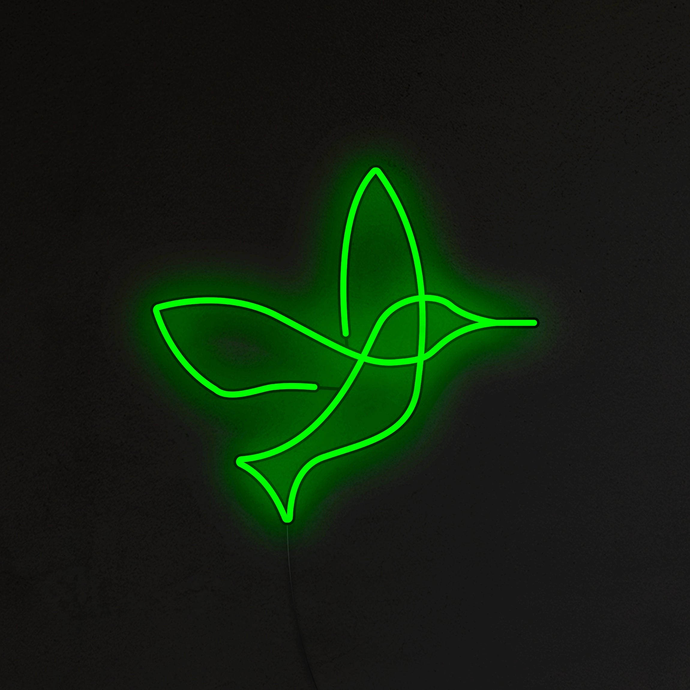 Koliber Neon LED