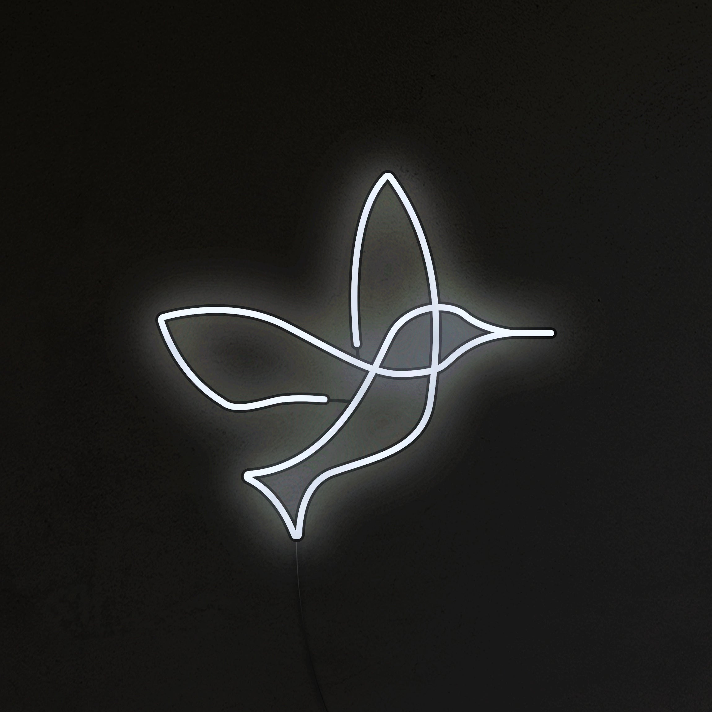 Koliber Neon LED