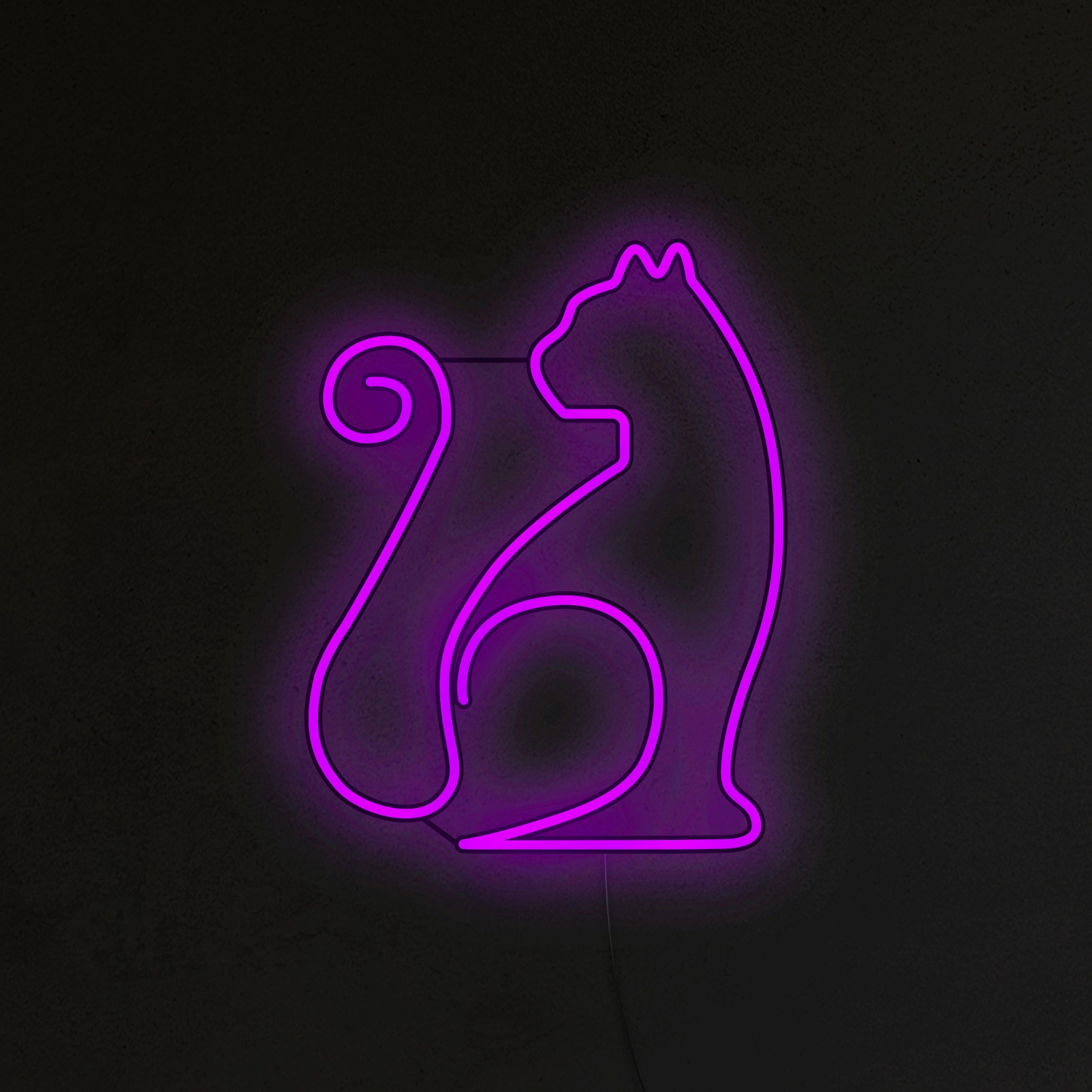 Kot Mruczek Neon LED