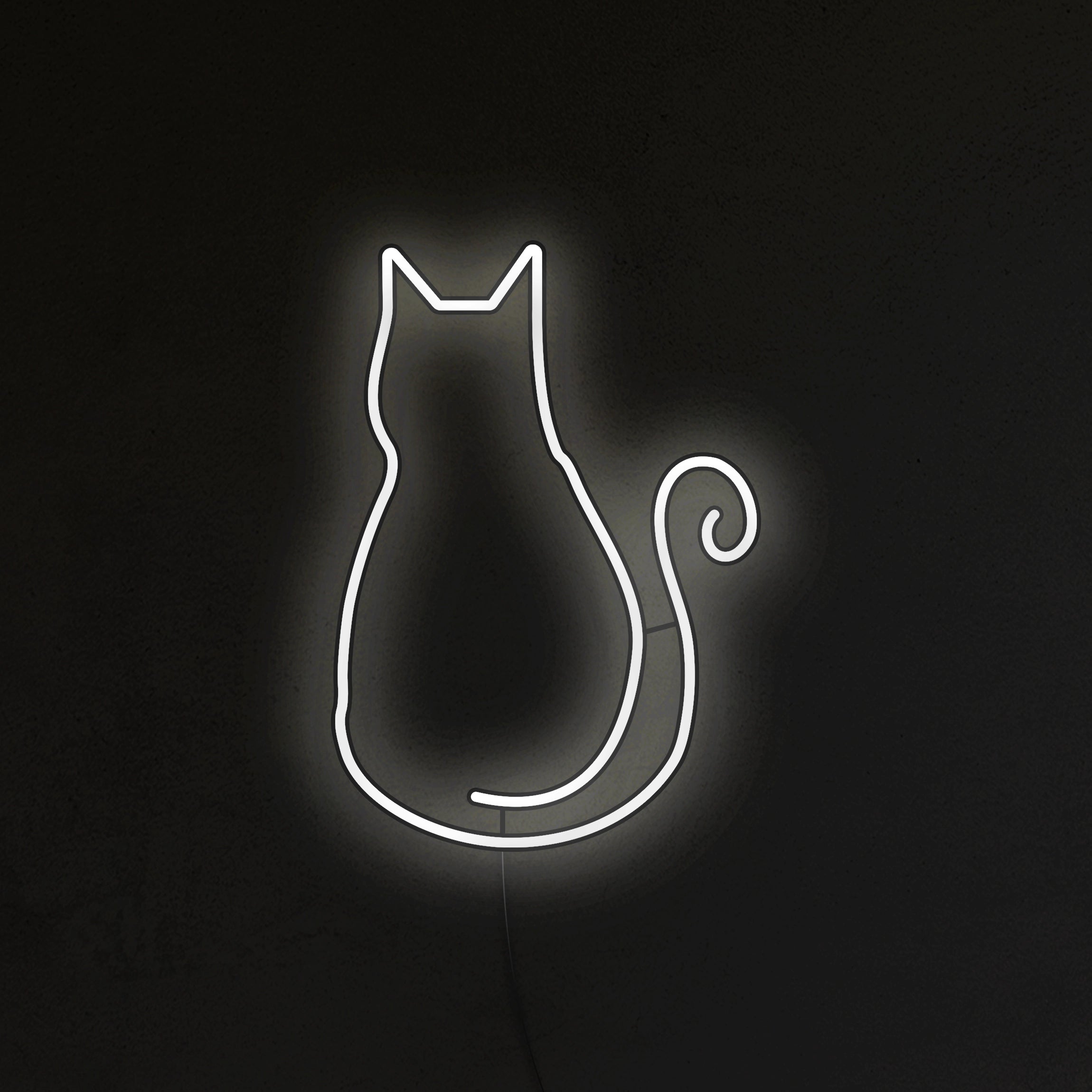 Kotek Neon LED