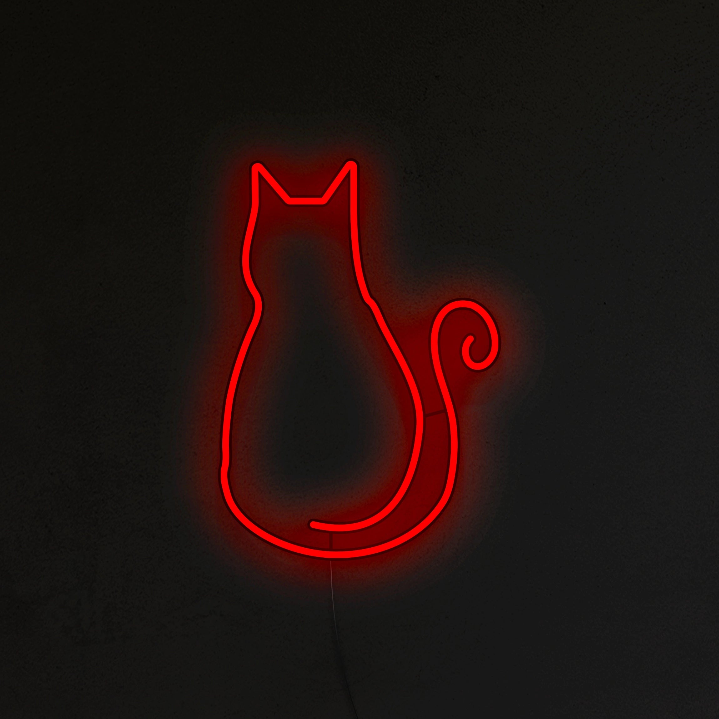 Kotek Neon LED