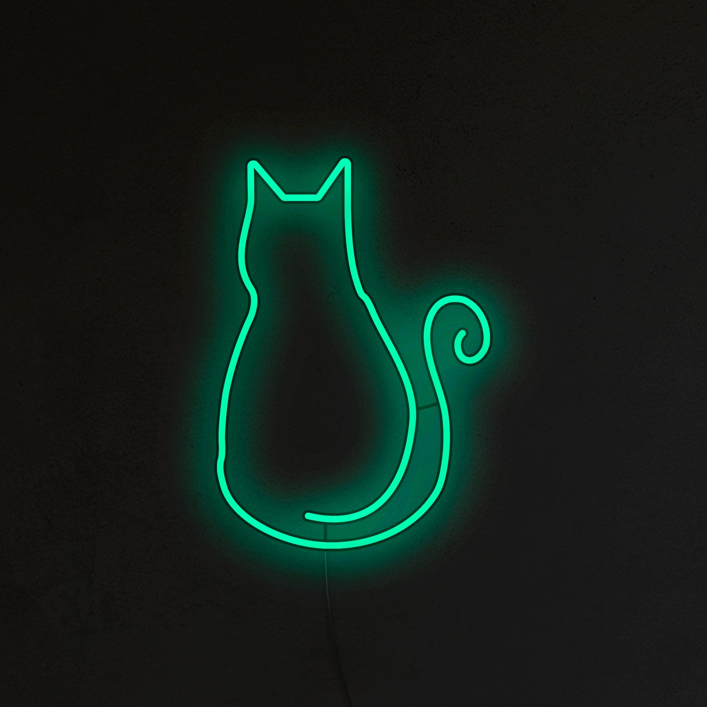 Kotek Neon LED