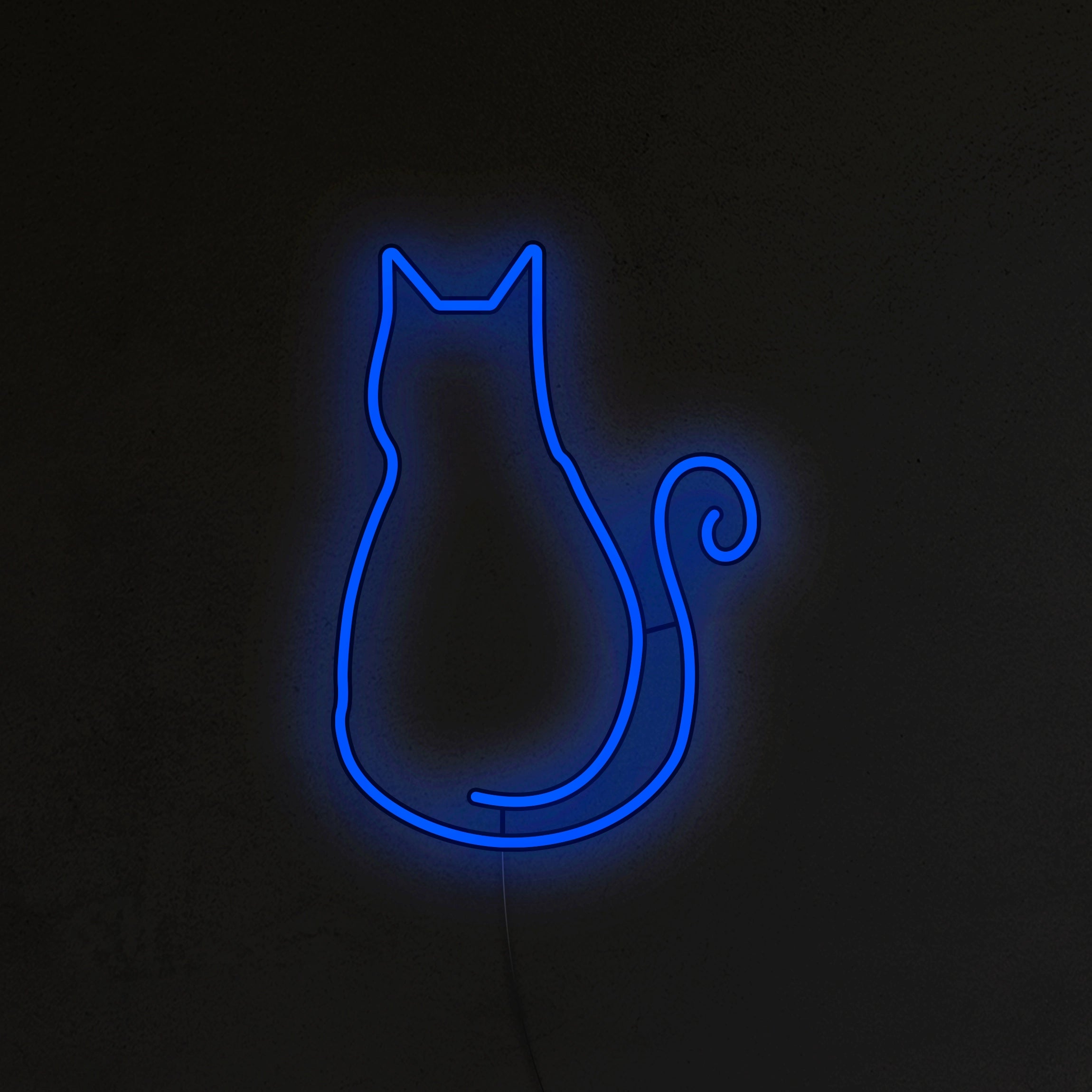 Kotek Neon LED