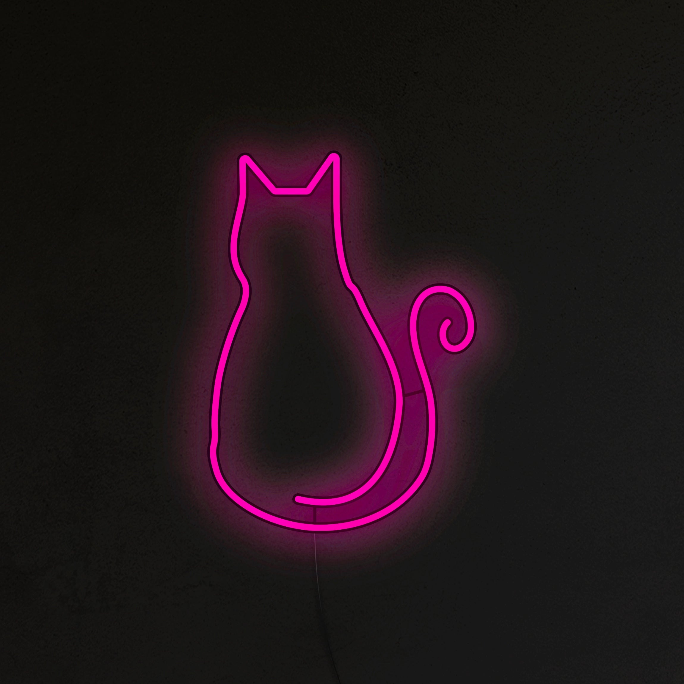 Kotek Neon LED