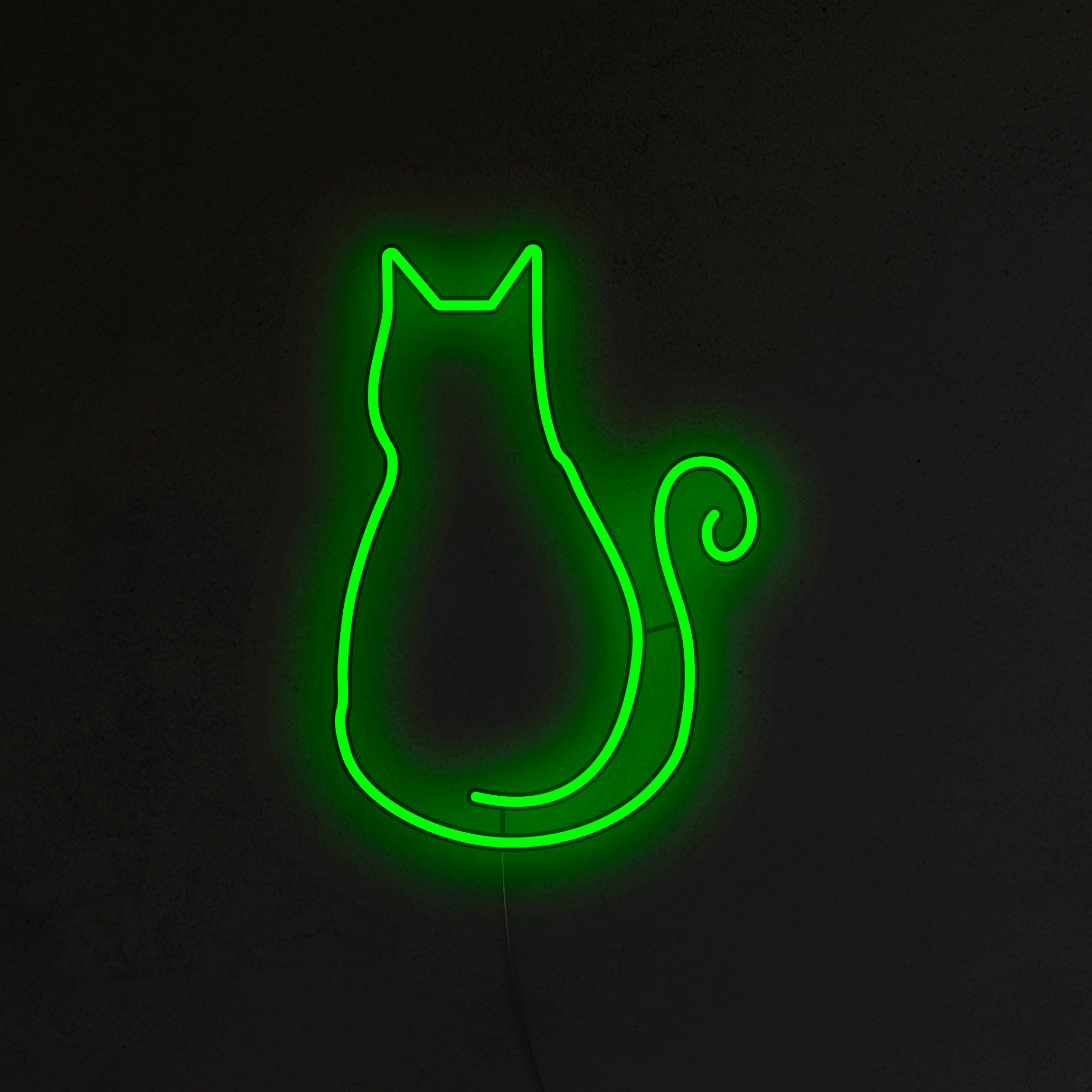 Kotek Neon LED