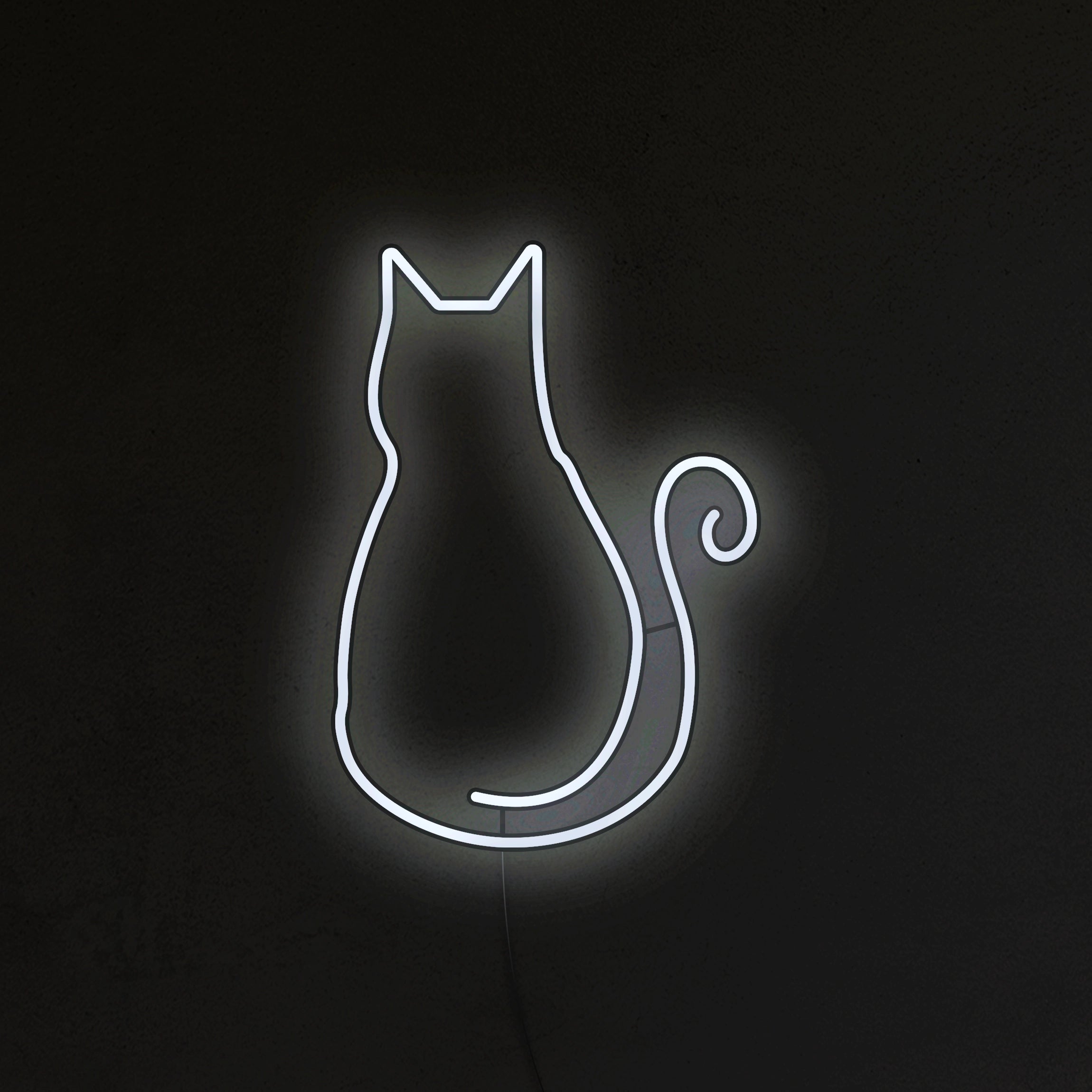 Kotek Neon LED