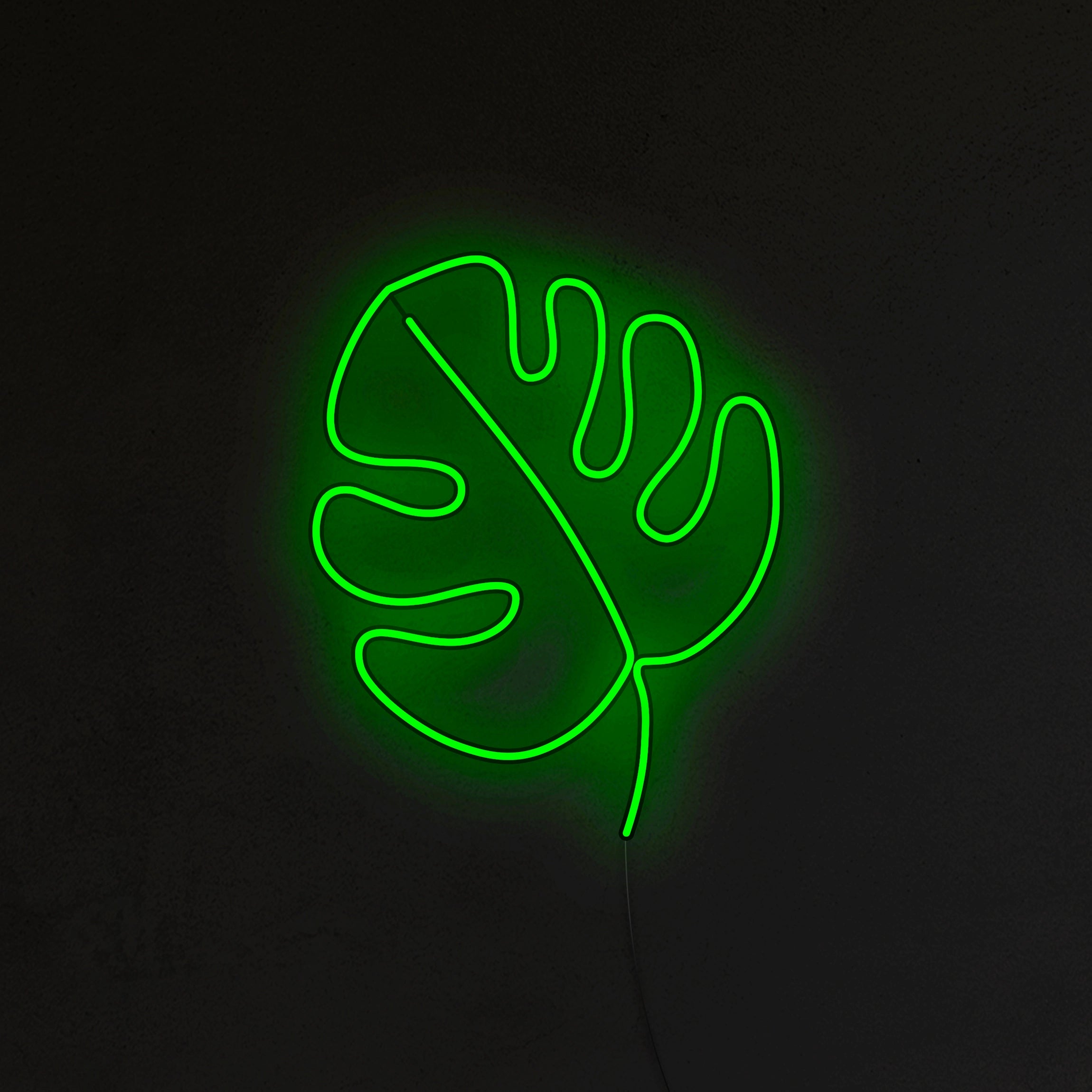 Liść Monstery Neon LED
