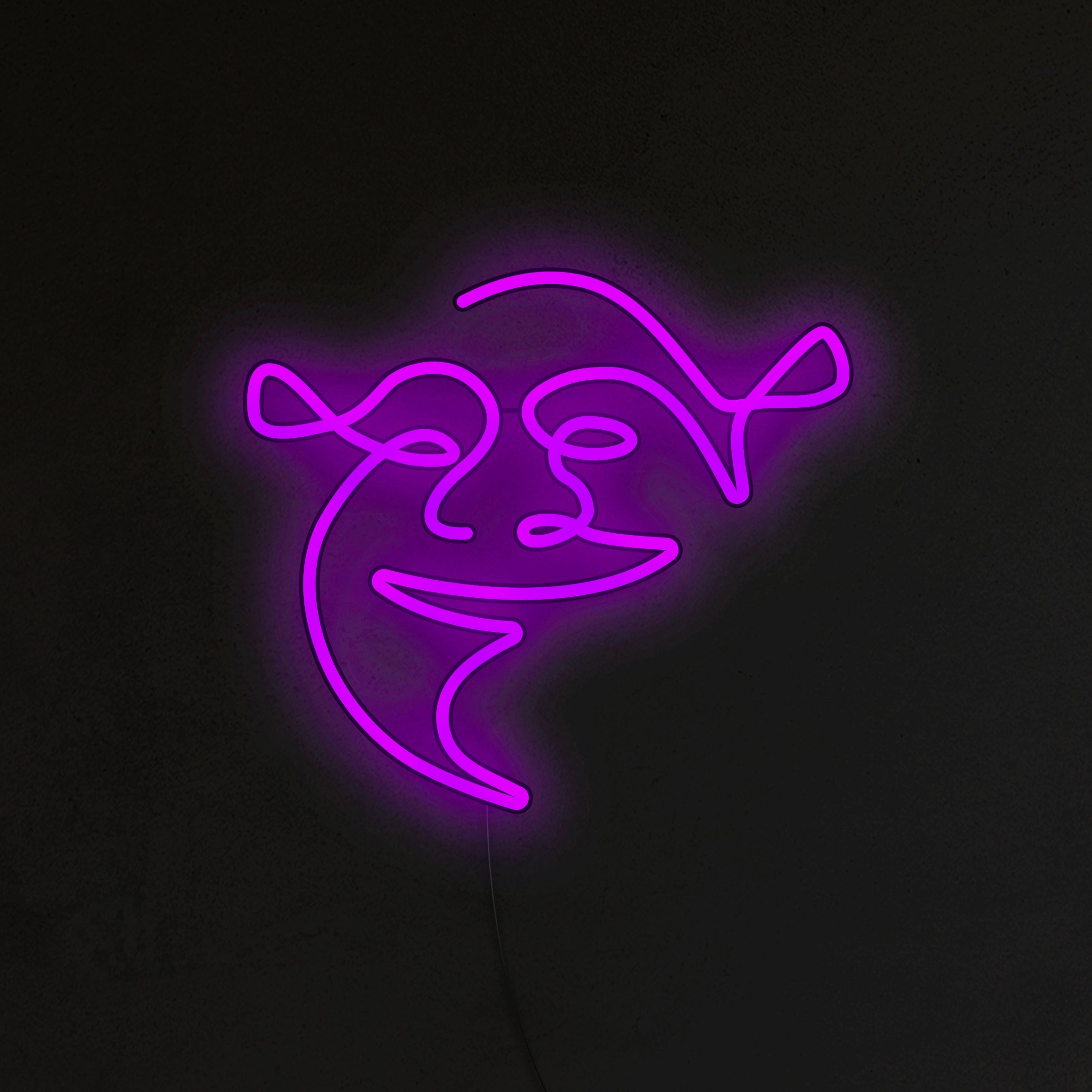 Shrek Neon LED