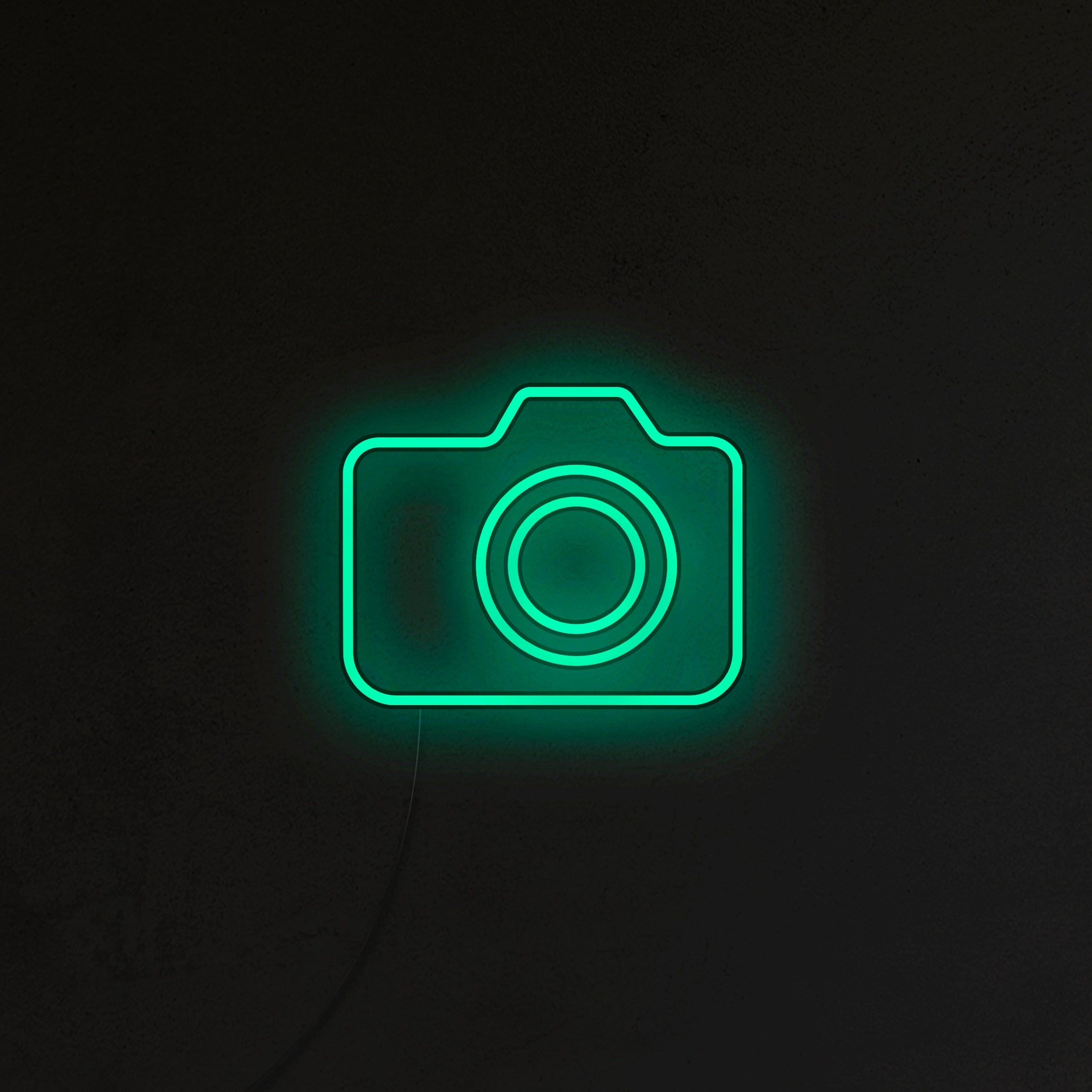 Aparat Neon LED