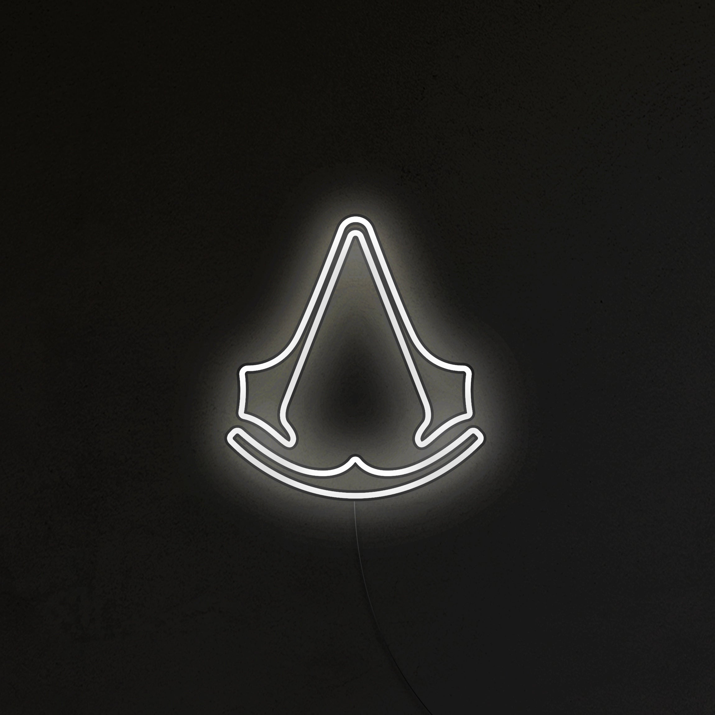 Assassin's Neon LED