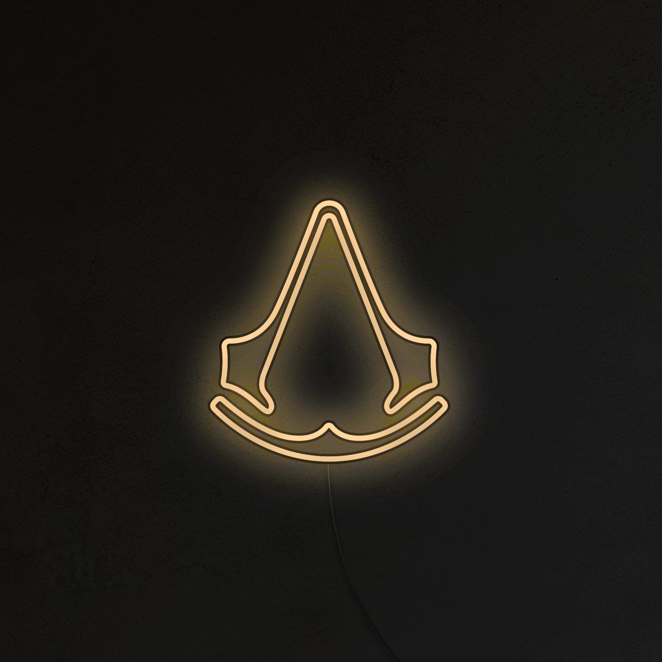 Assassin's Neon LED