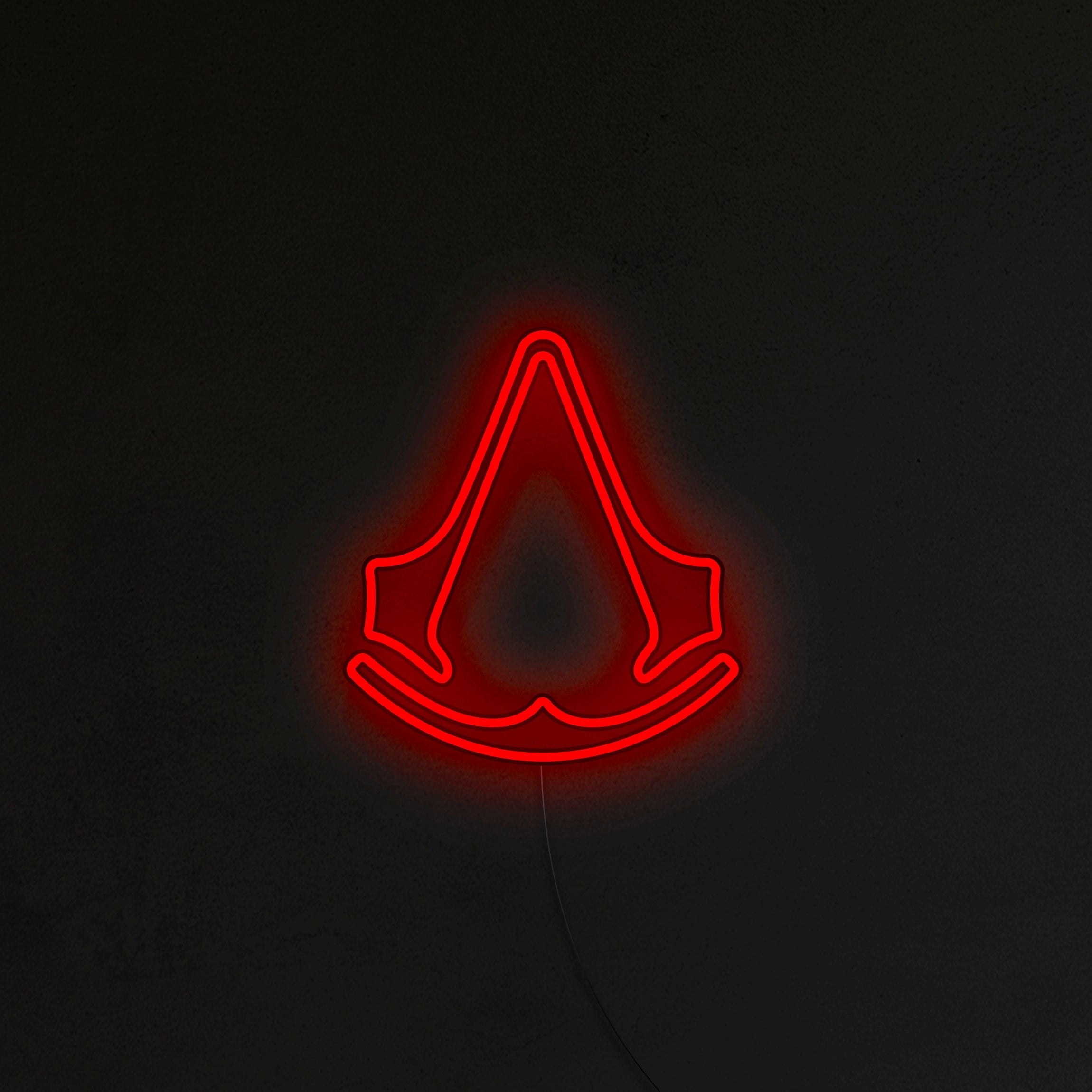 Assassin's Neon LED