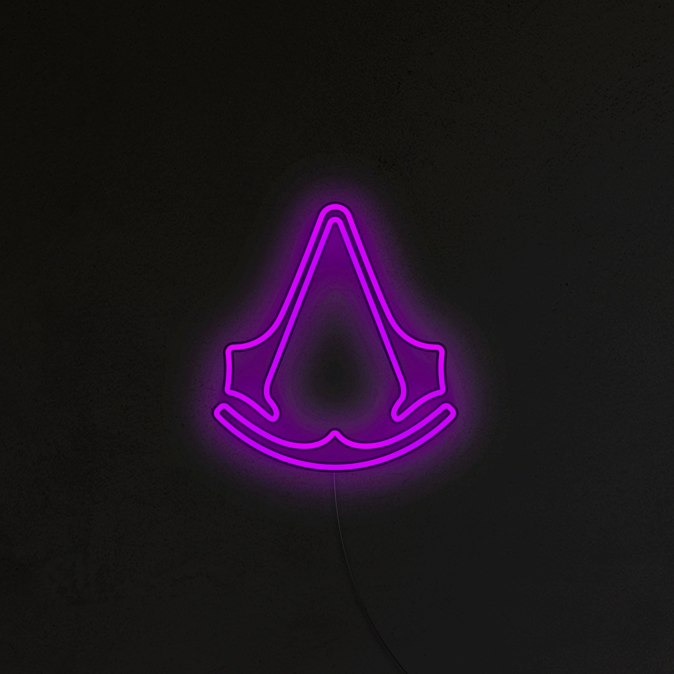 Assassin's Neon LED