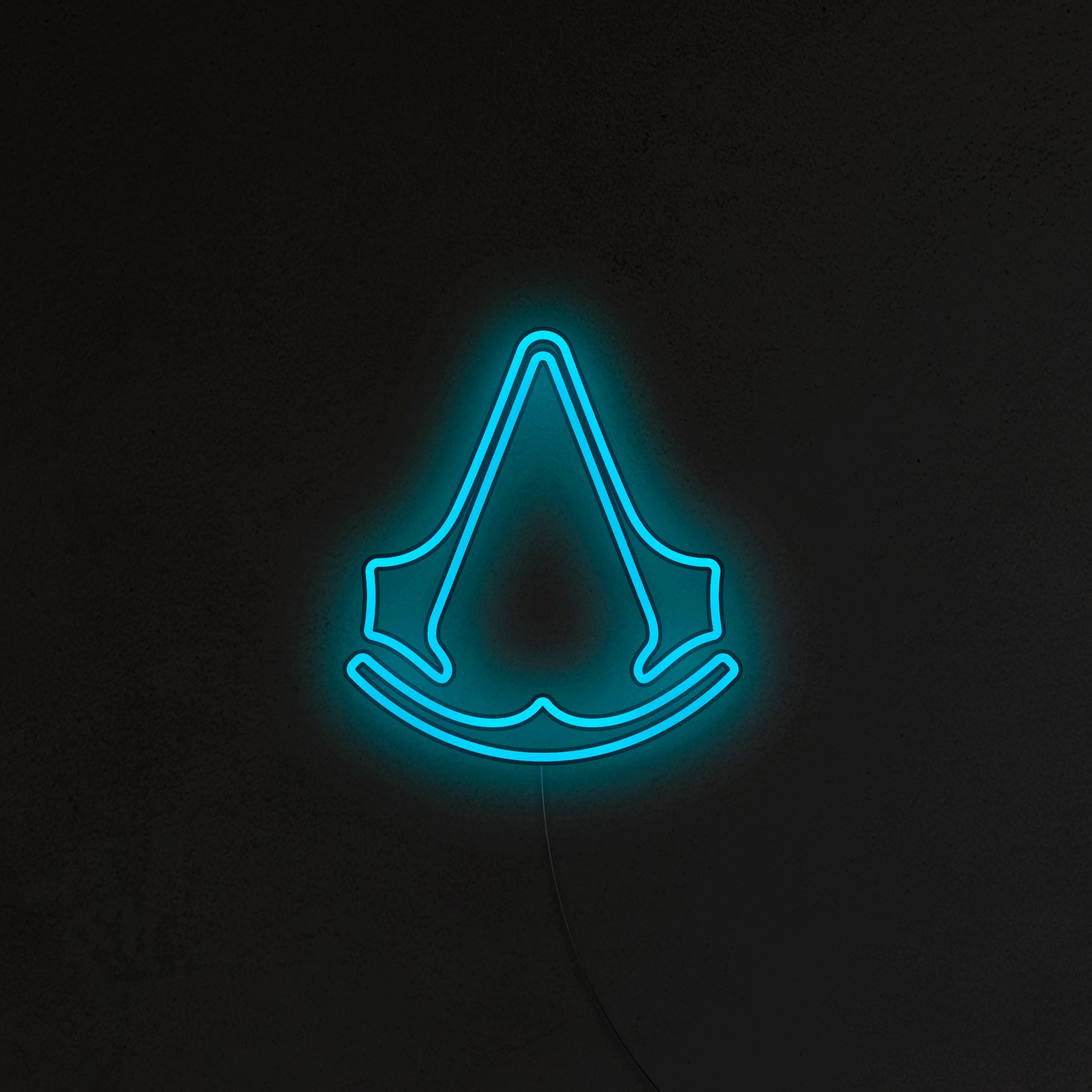 Assassin's Neon LED