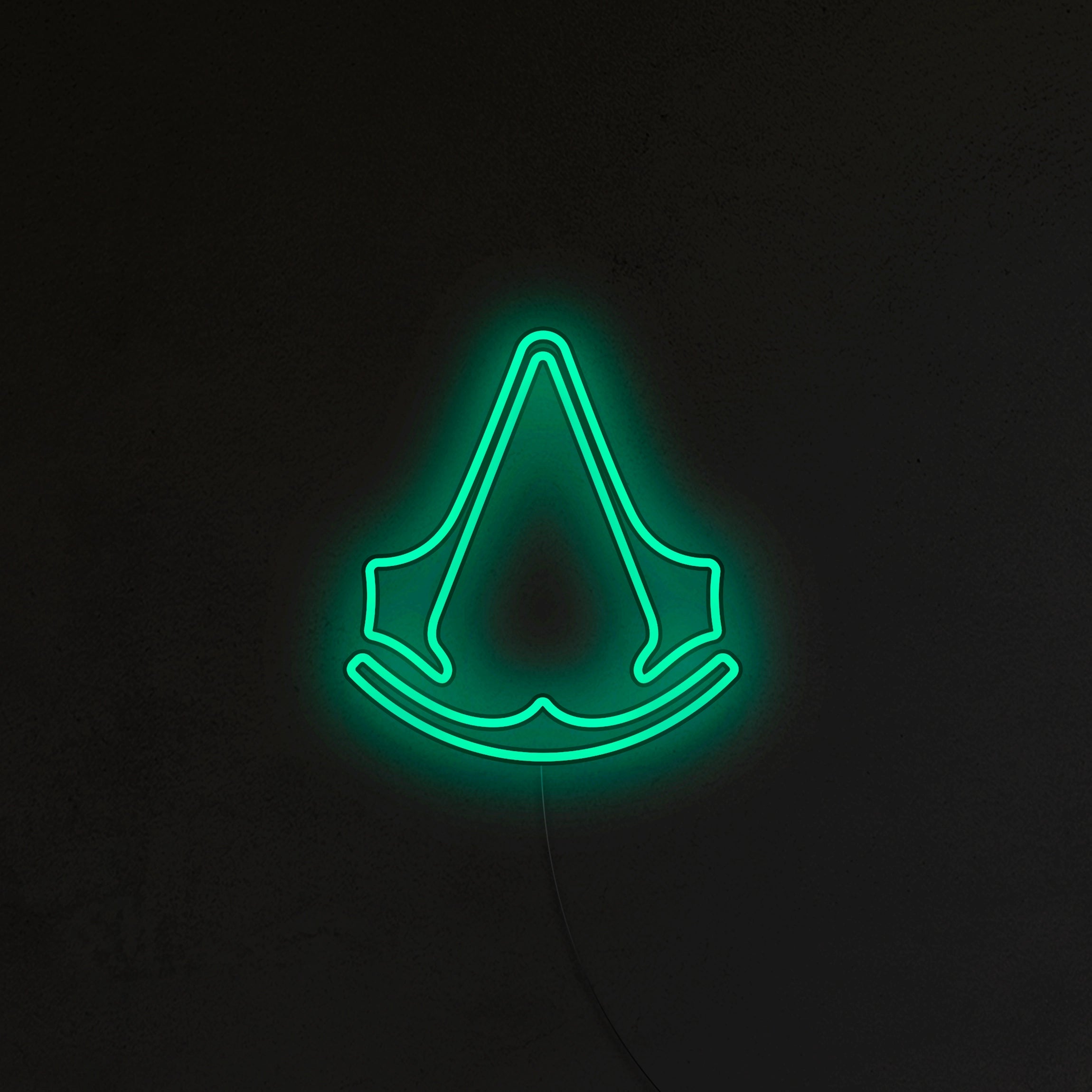 Assassin's Neon LED