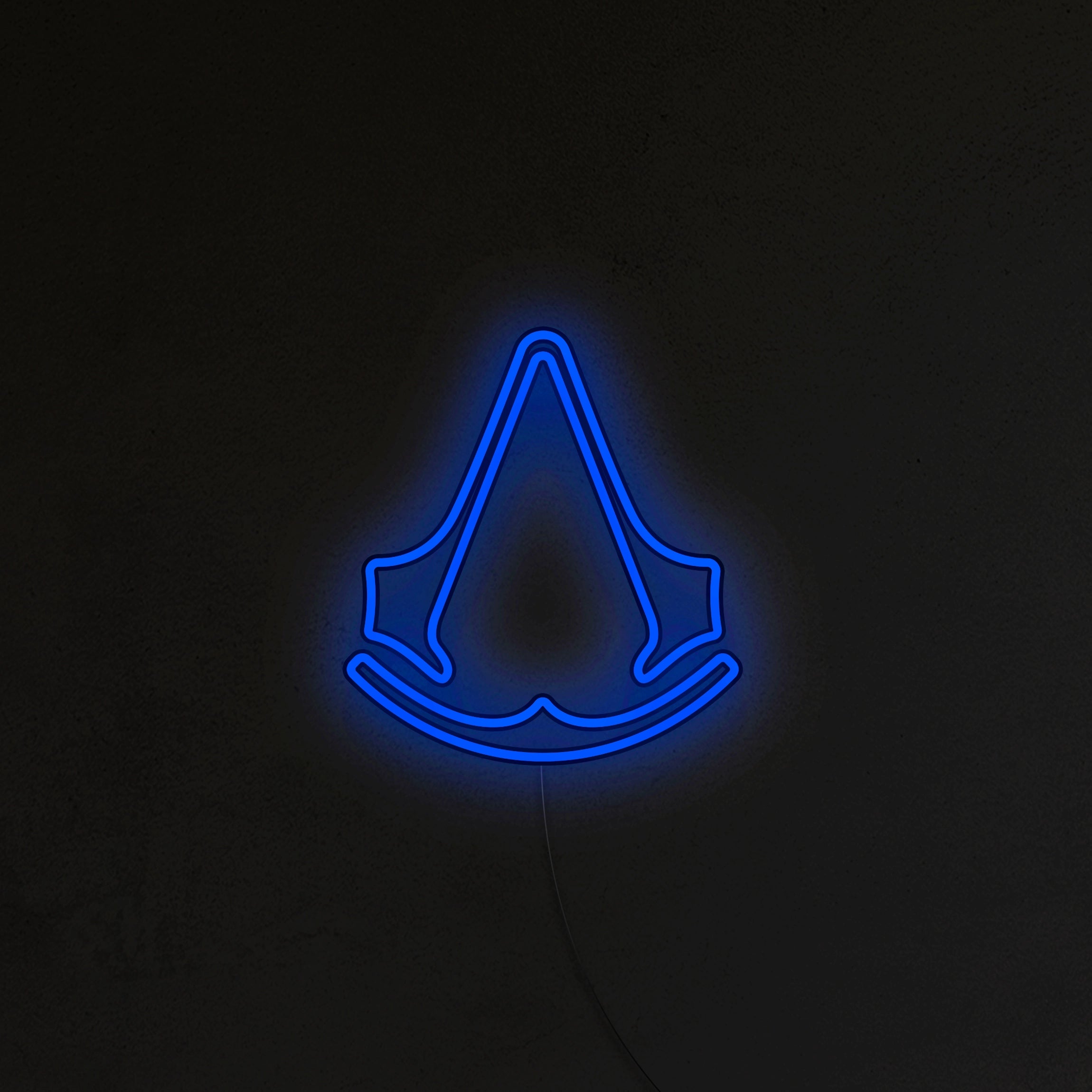 Assassin's Neon LED