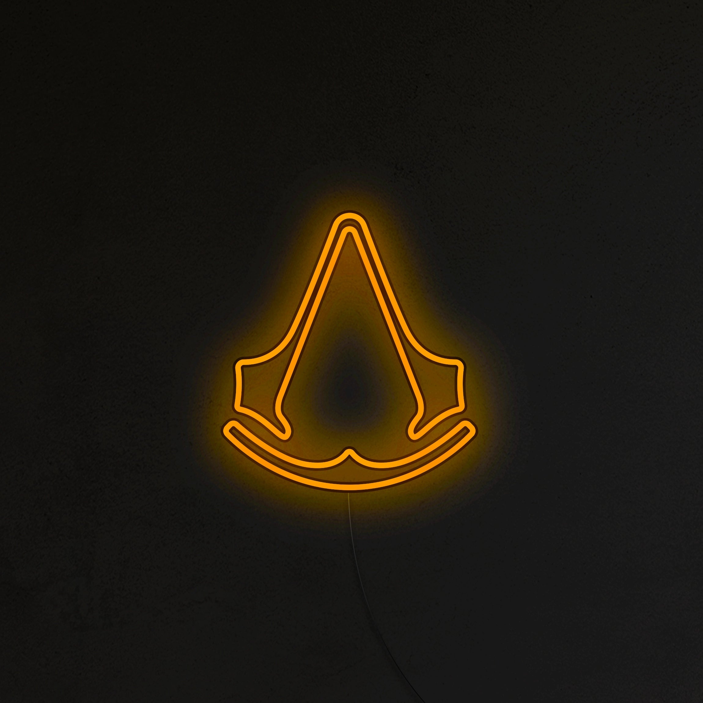 Assassin's Neon LED