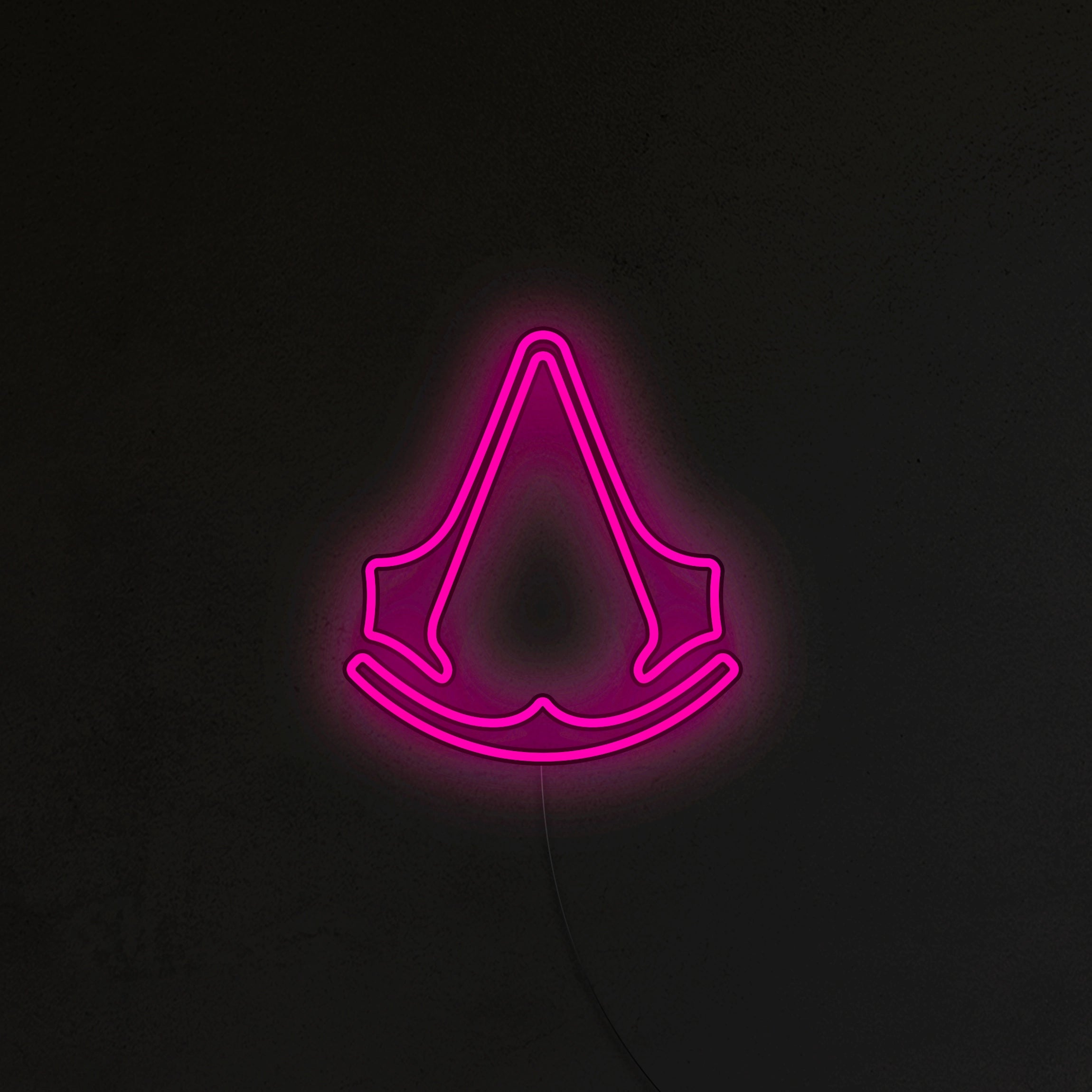 Assassin's Neon LED
