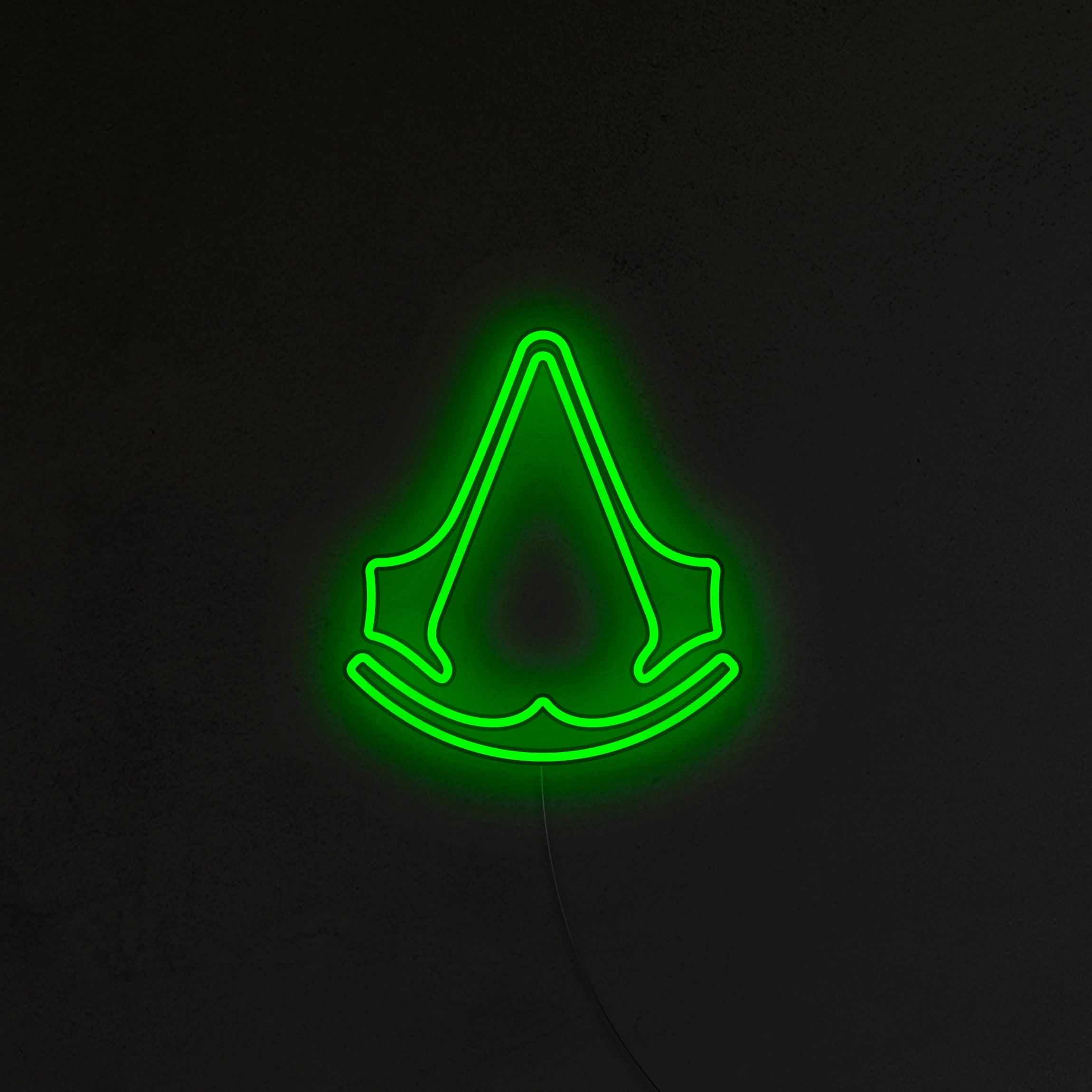 Assassin's Neon LED