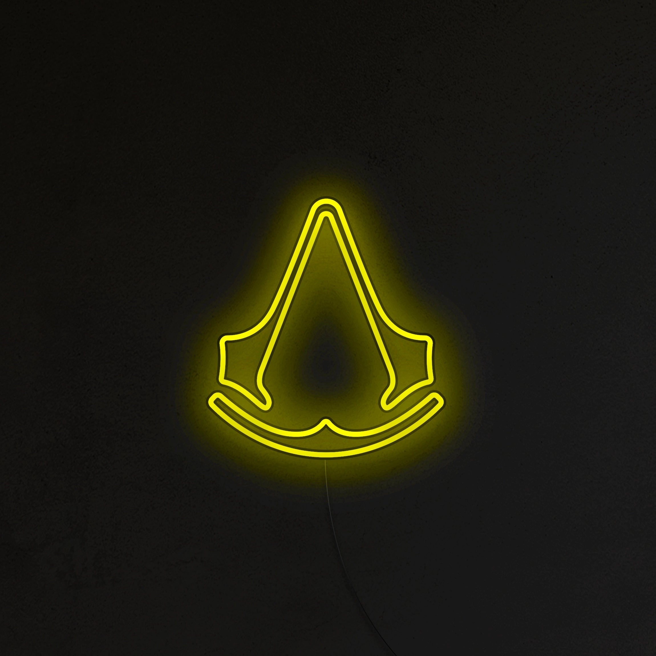 Assassin's Neon LED