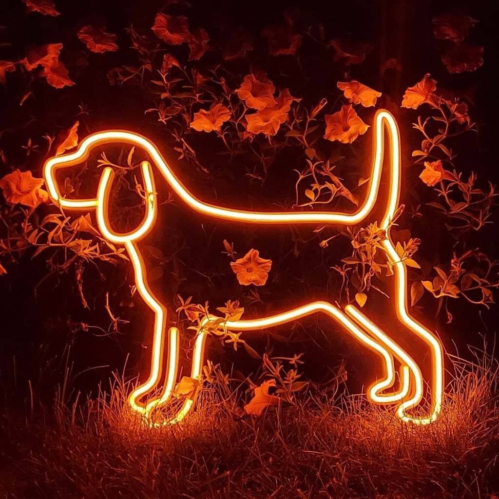 Beagle Neon LED