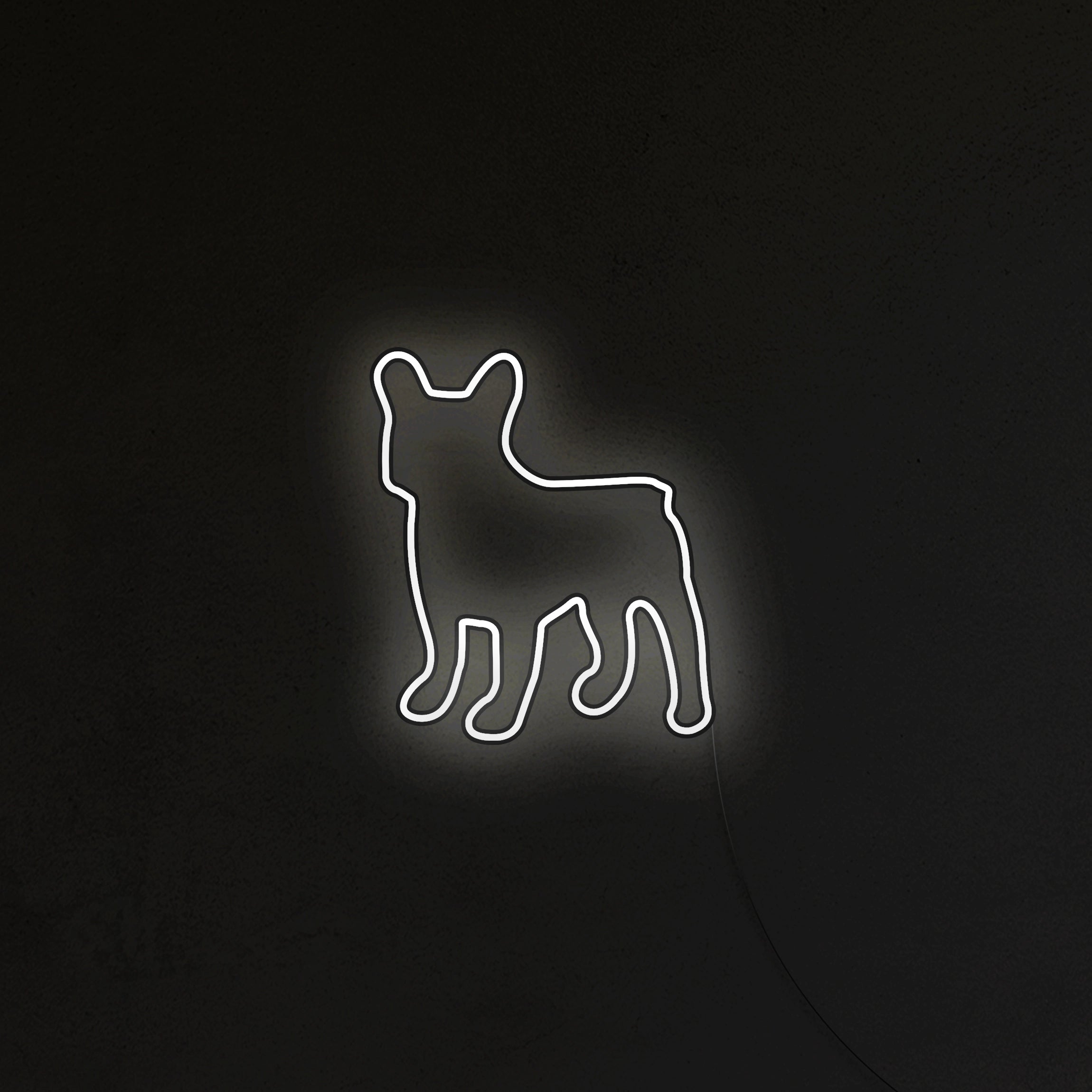 Buldog Francuski Neon LED