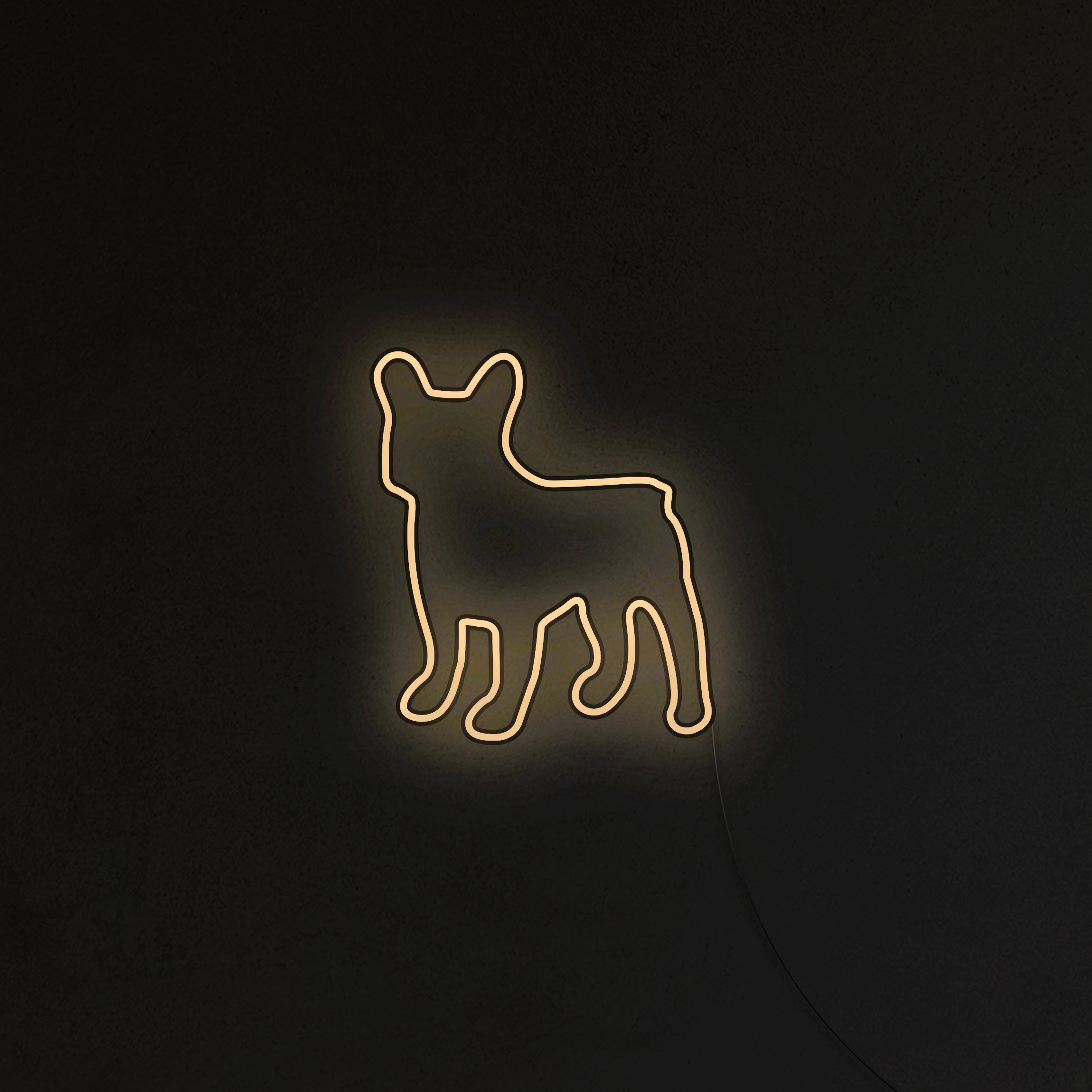 Buldog Francuski Neon LED