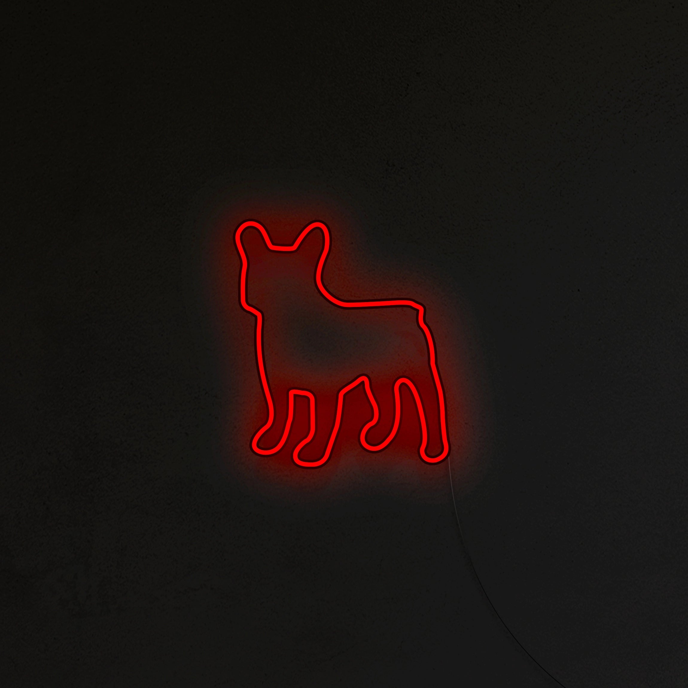 Buldog Francuski Neon LED