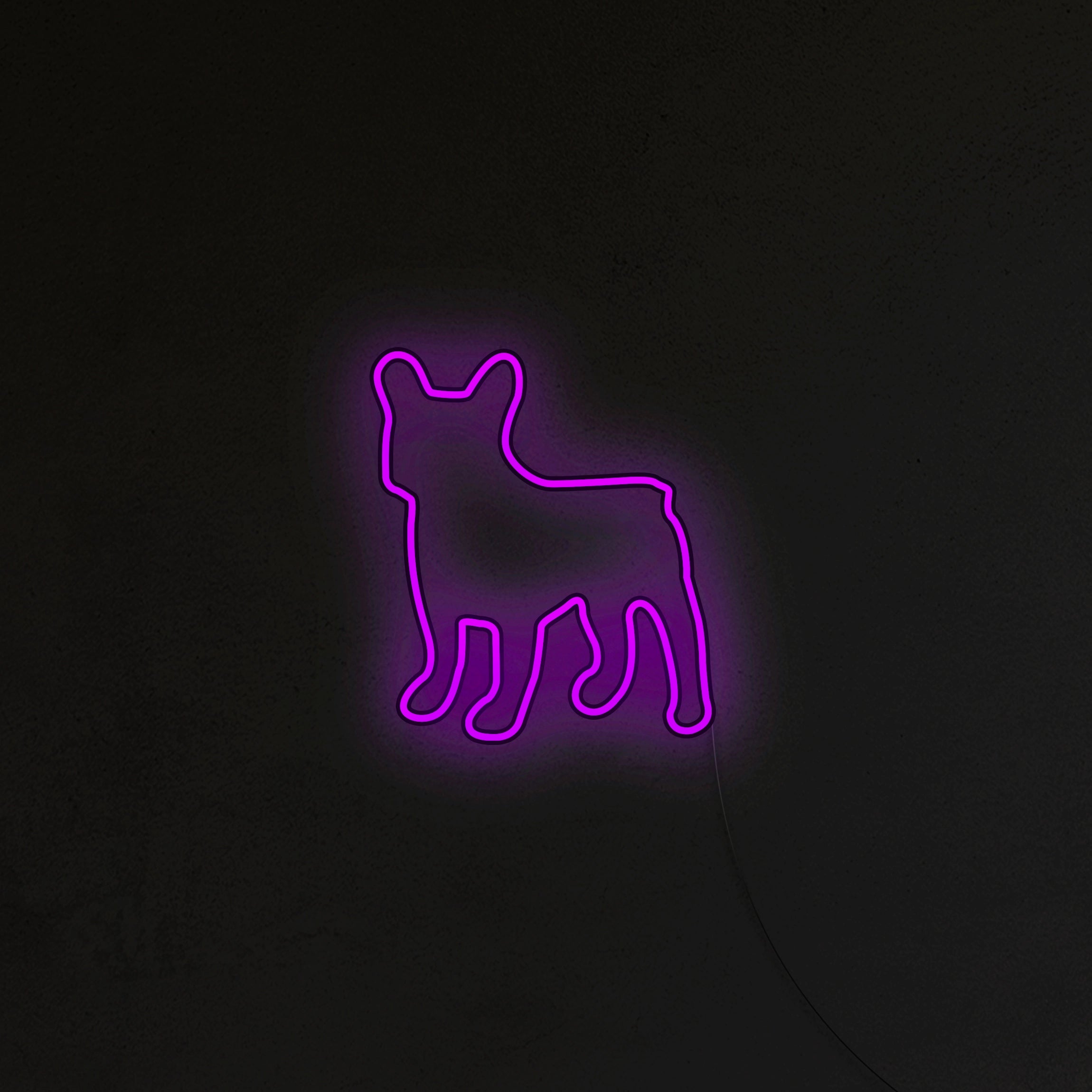 Buldog Francuski Neon LED
