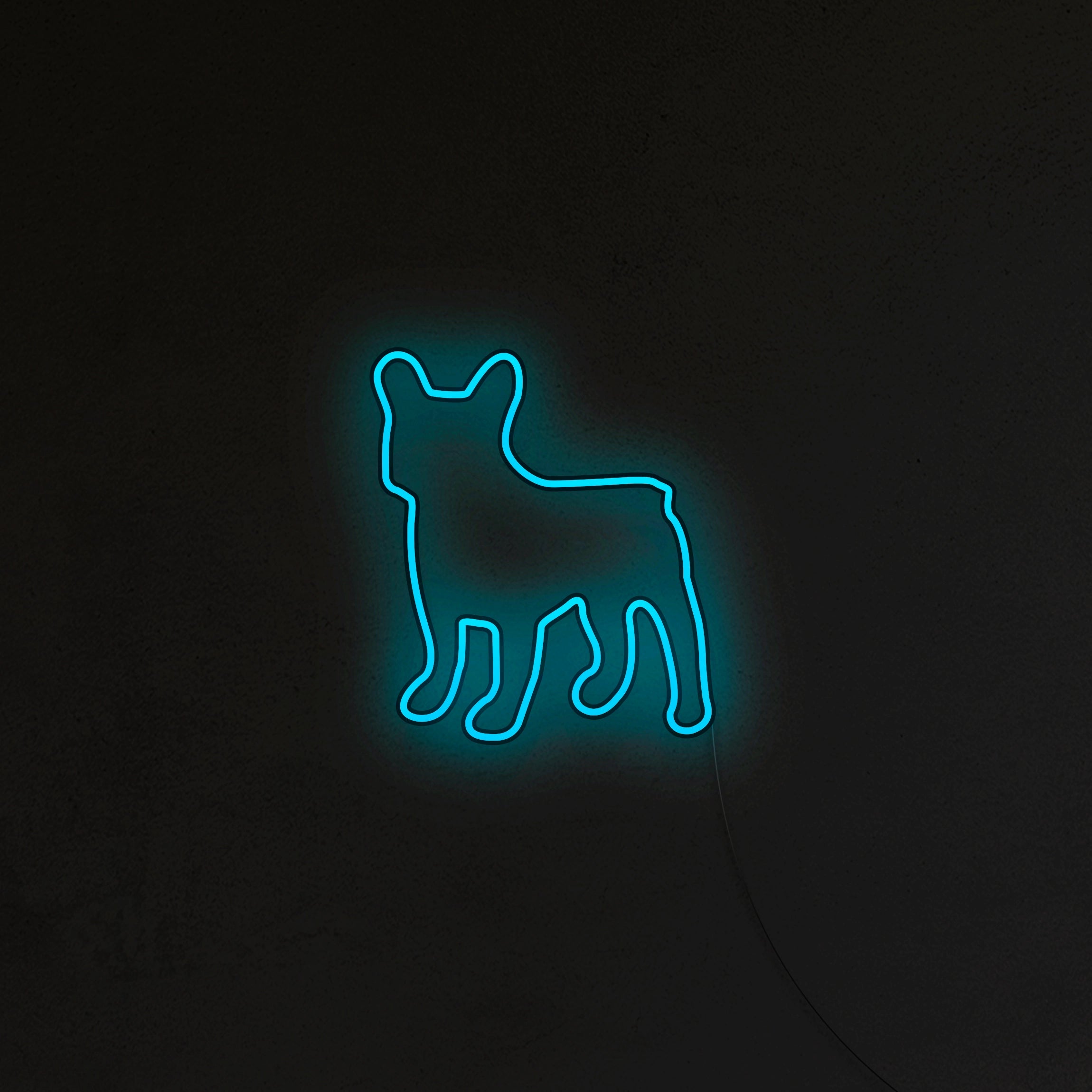 Buldog Francuski Neon LED