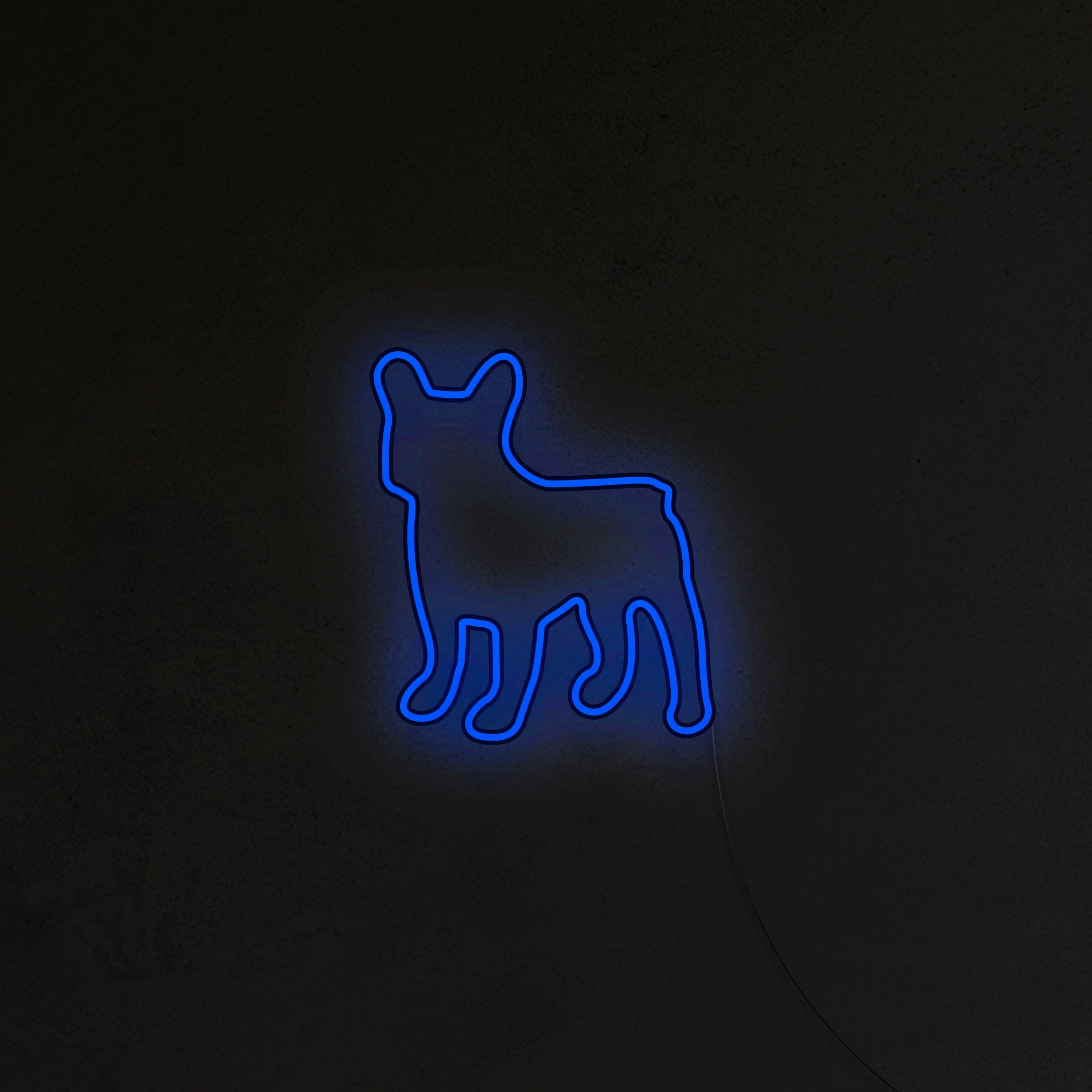 Buldog Francuski Neon LED