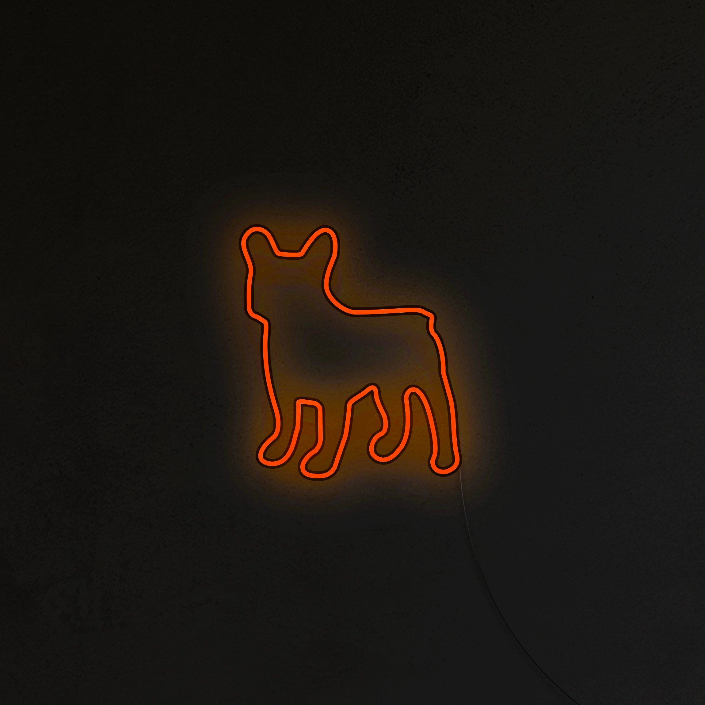 Buldog Francuski Neon LED