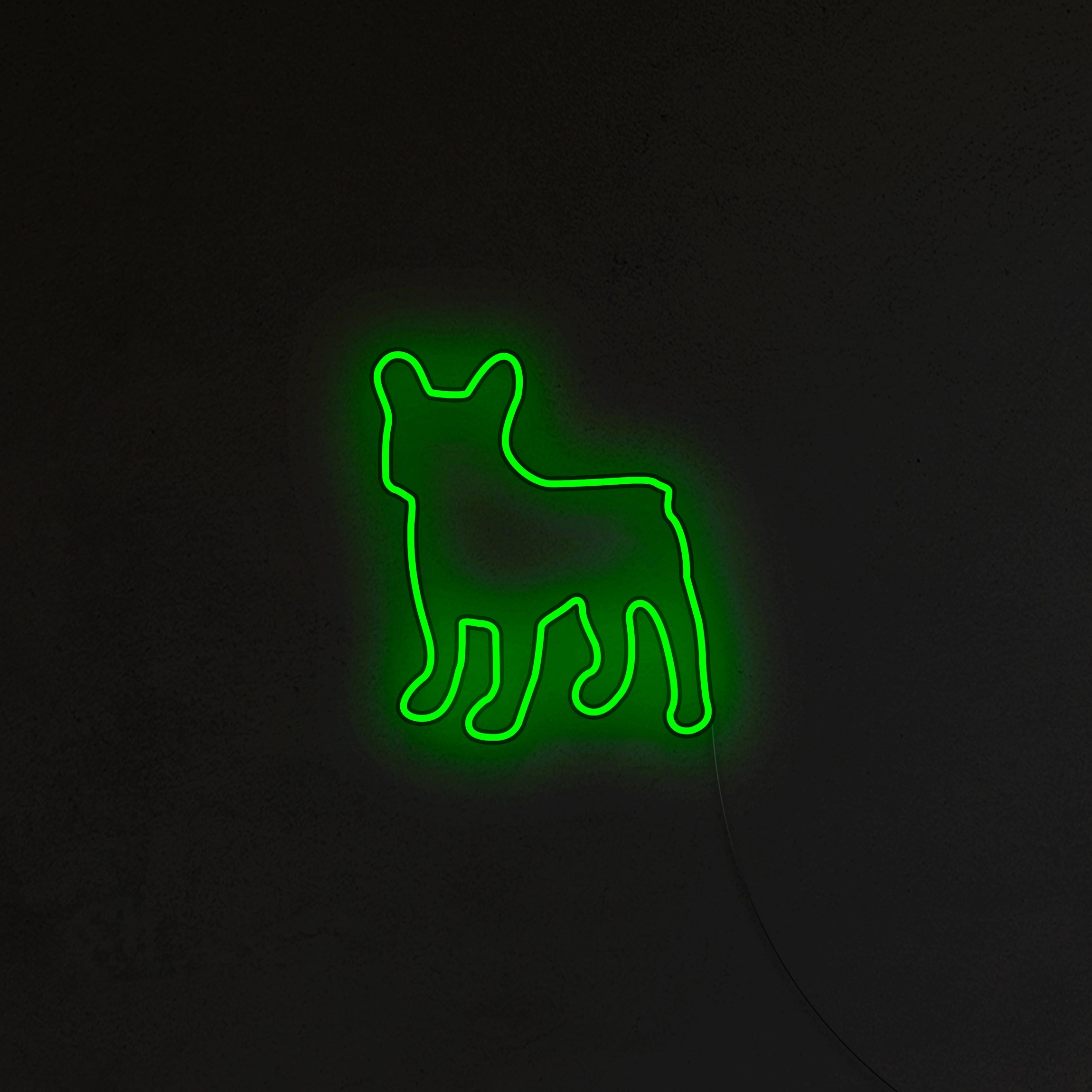 Buldog Francuski Neon LED