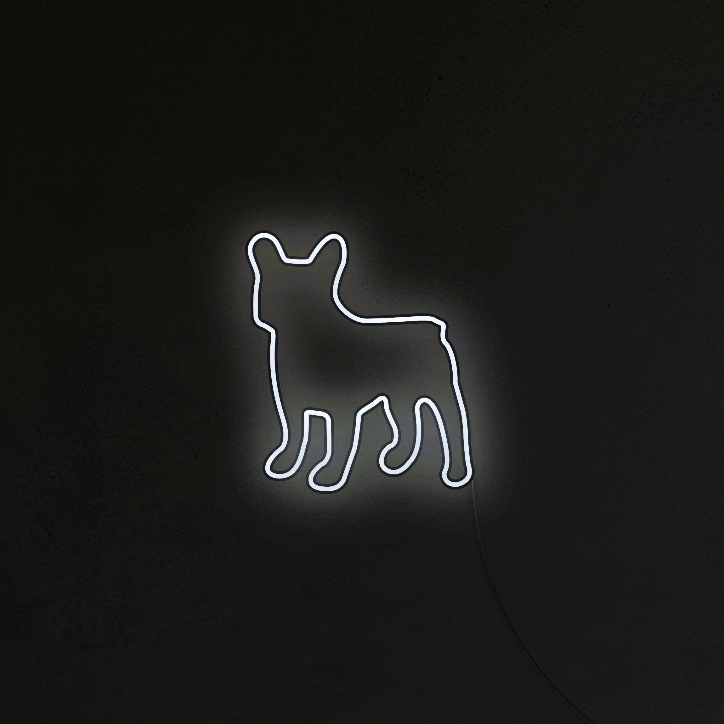 Buldog Francuski Neon LED