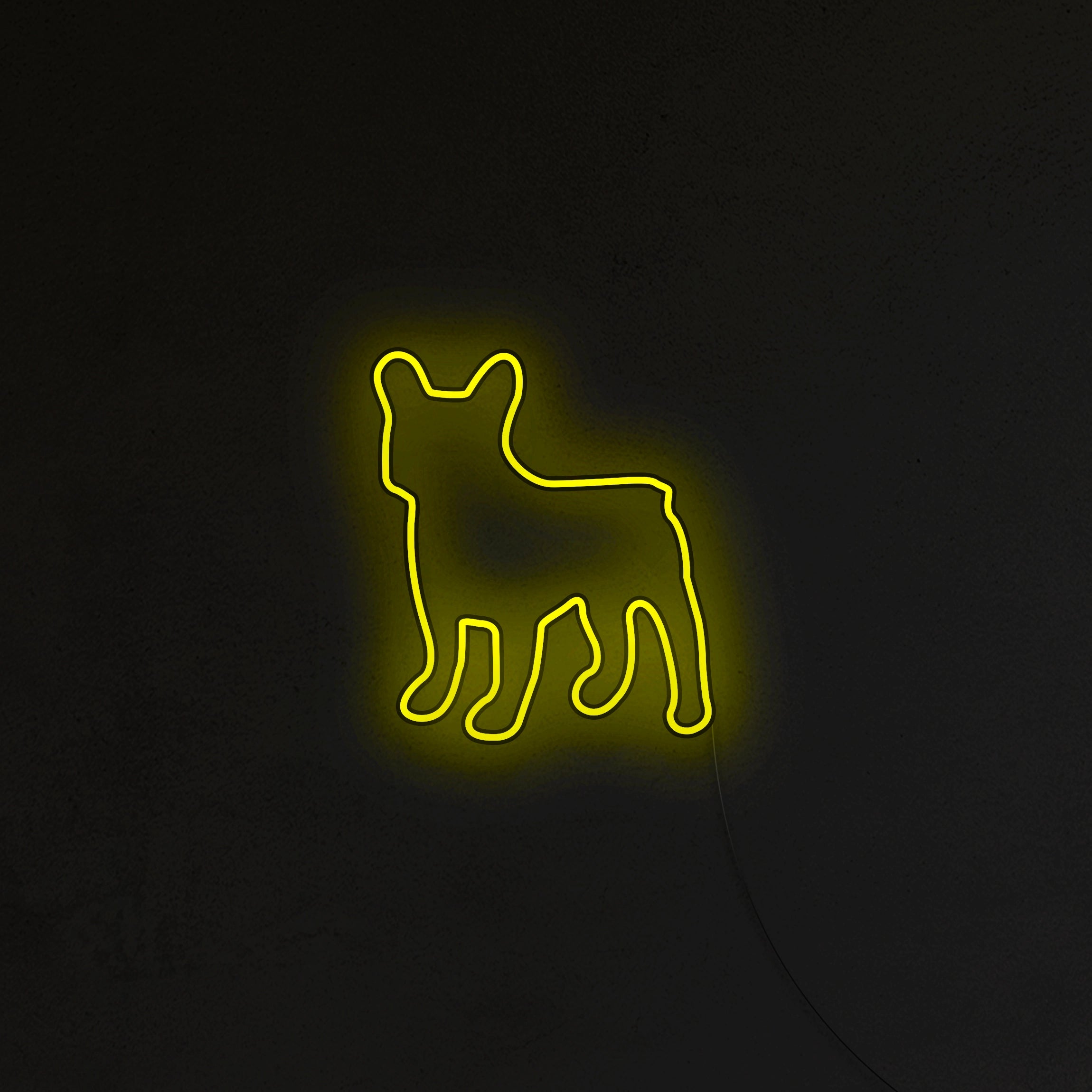 Buldog Francuski Neon LED