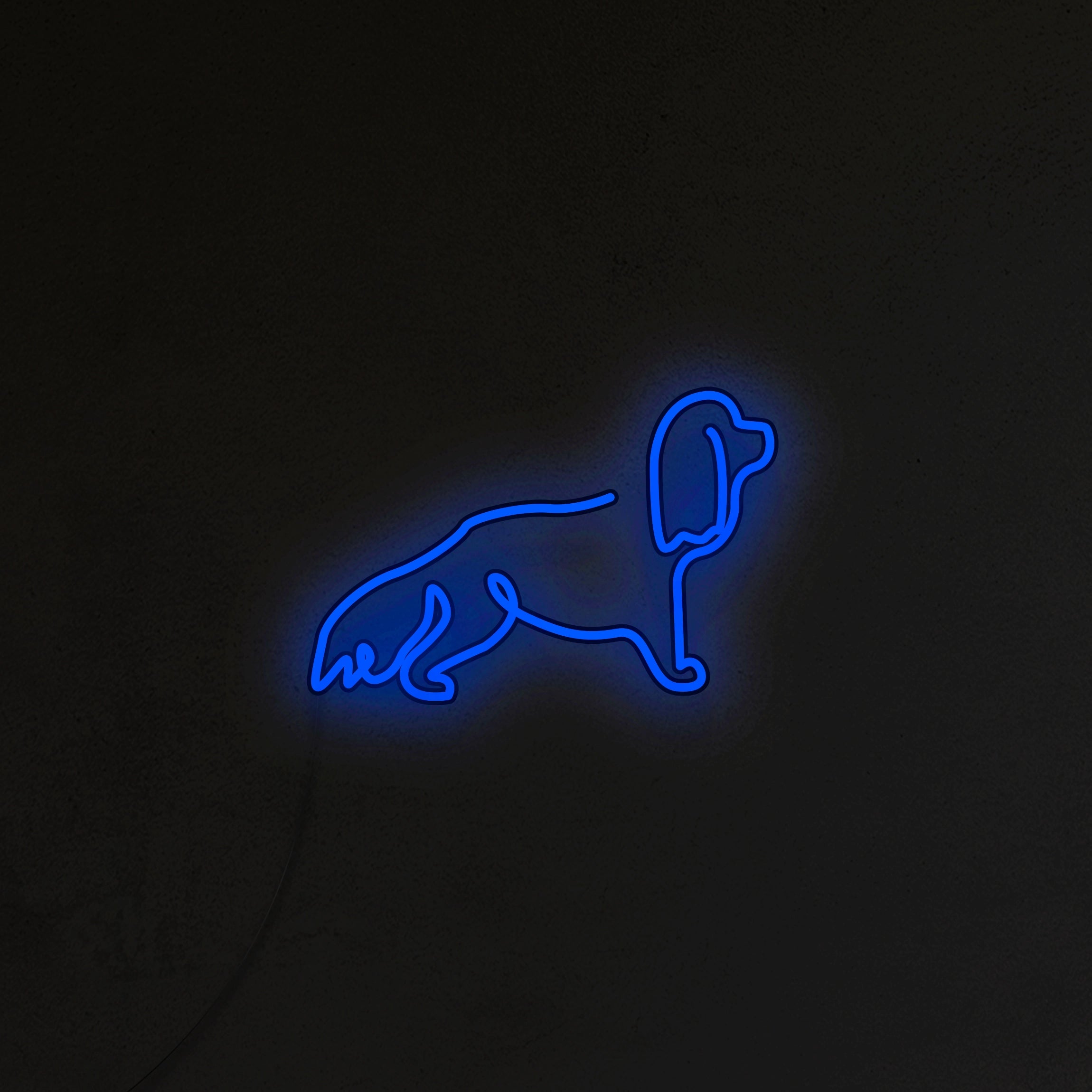 Cavalier Neon LED
