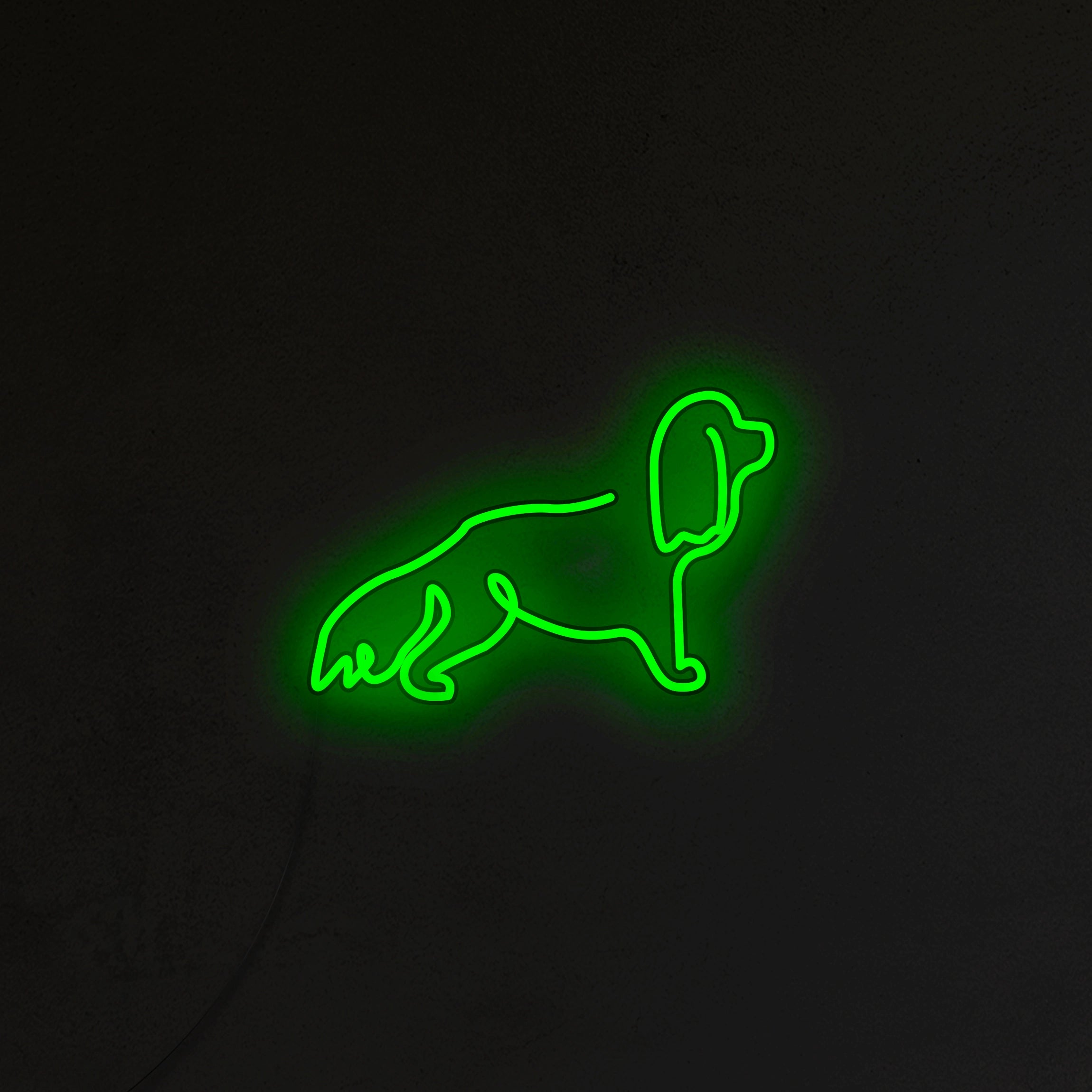 Cavalier Neon LED