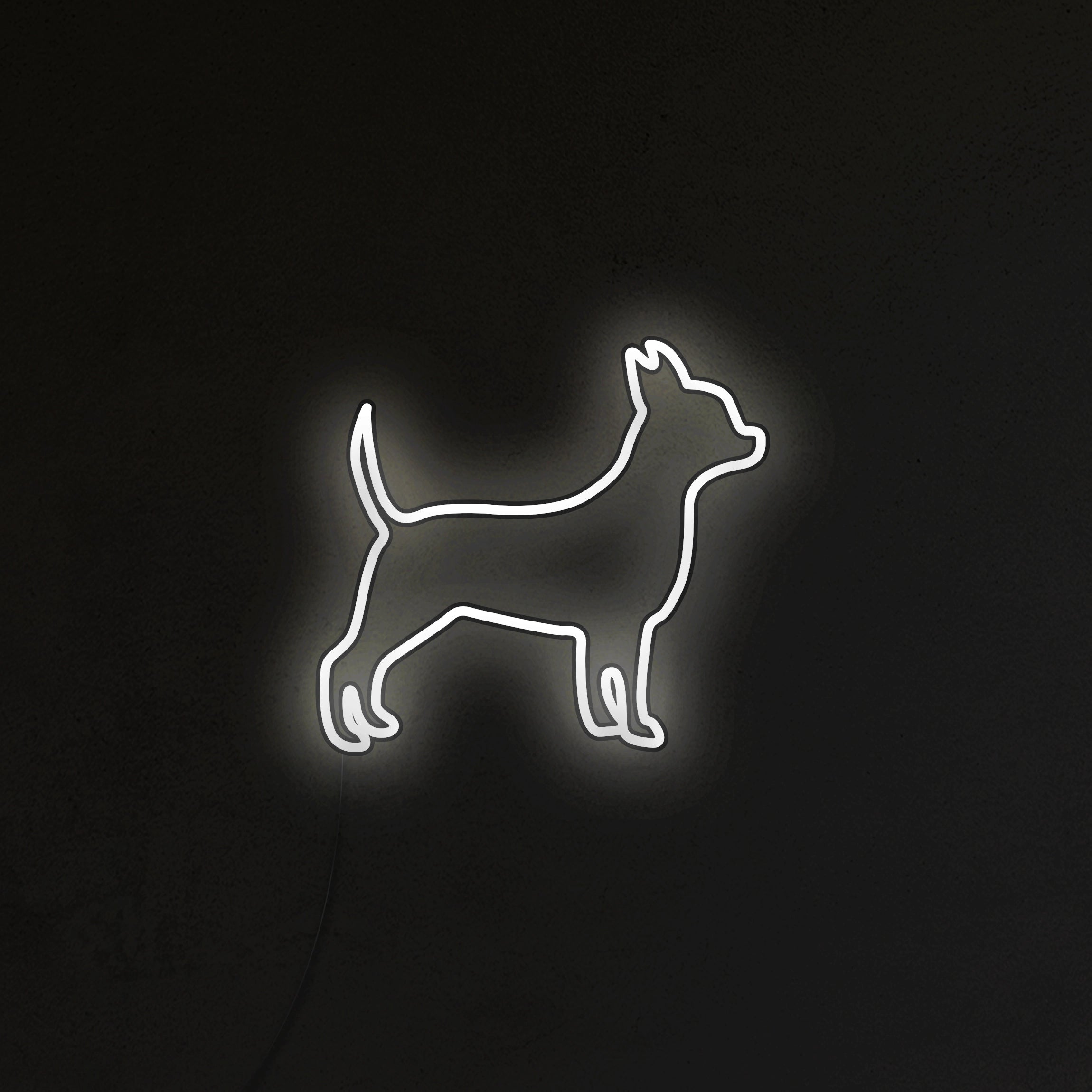Chihuahua Neon LED