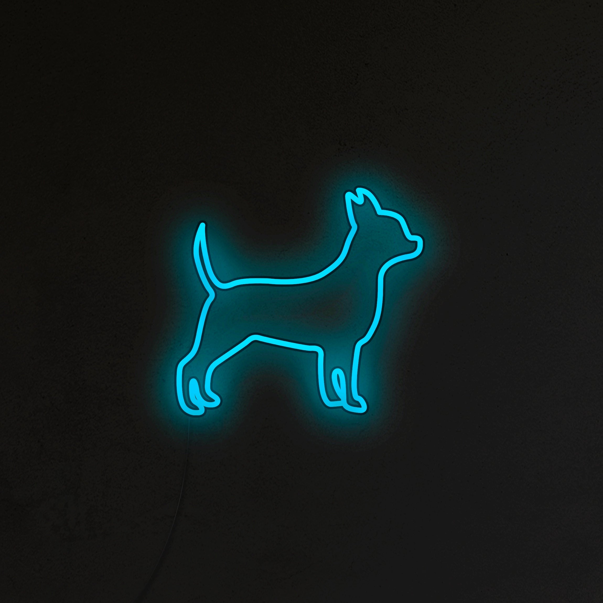 Chihuahua Neon LED