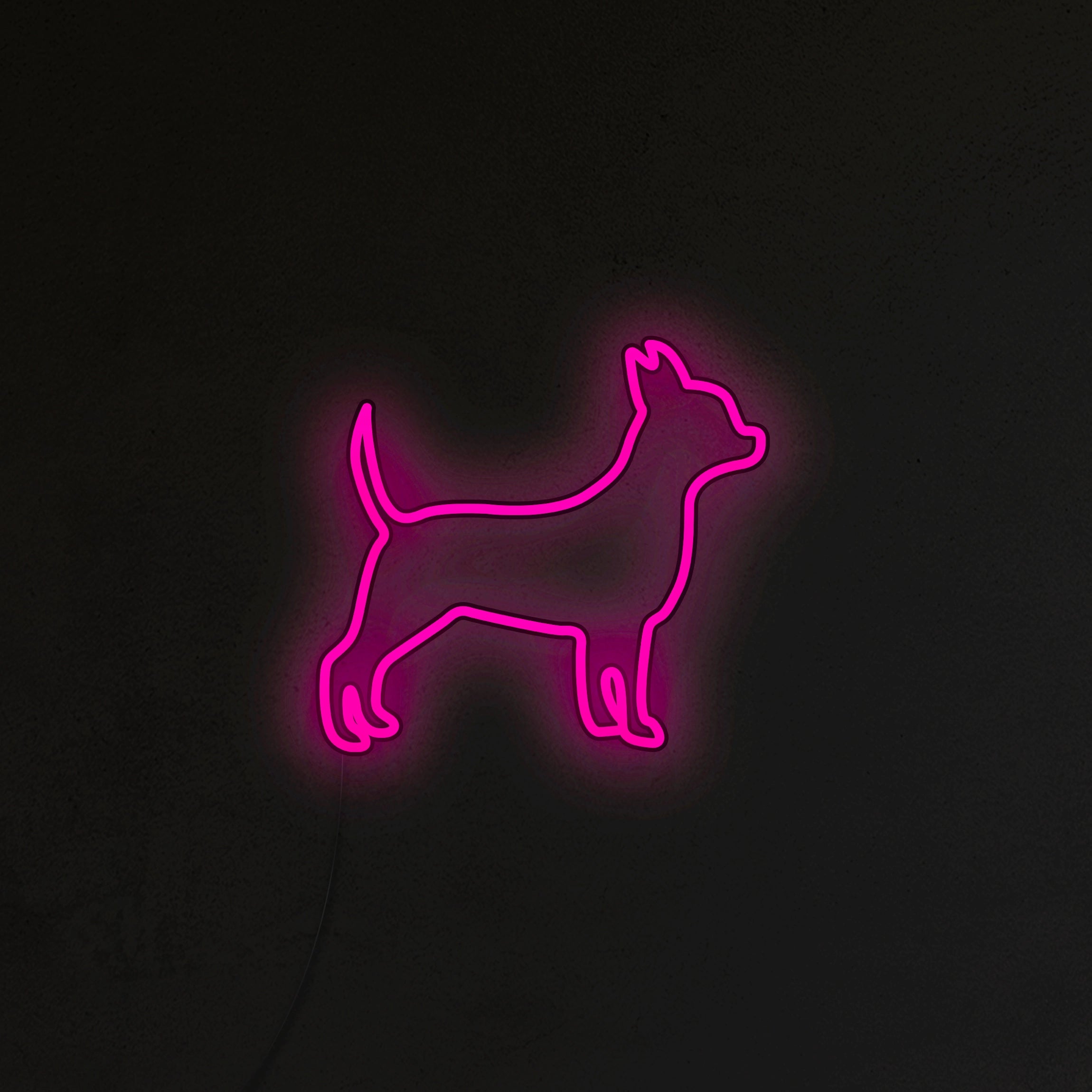 Chihuahua Neon LED
