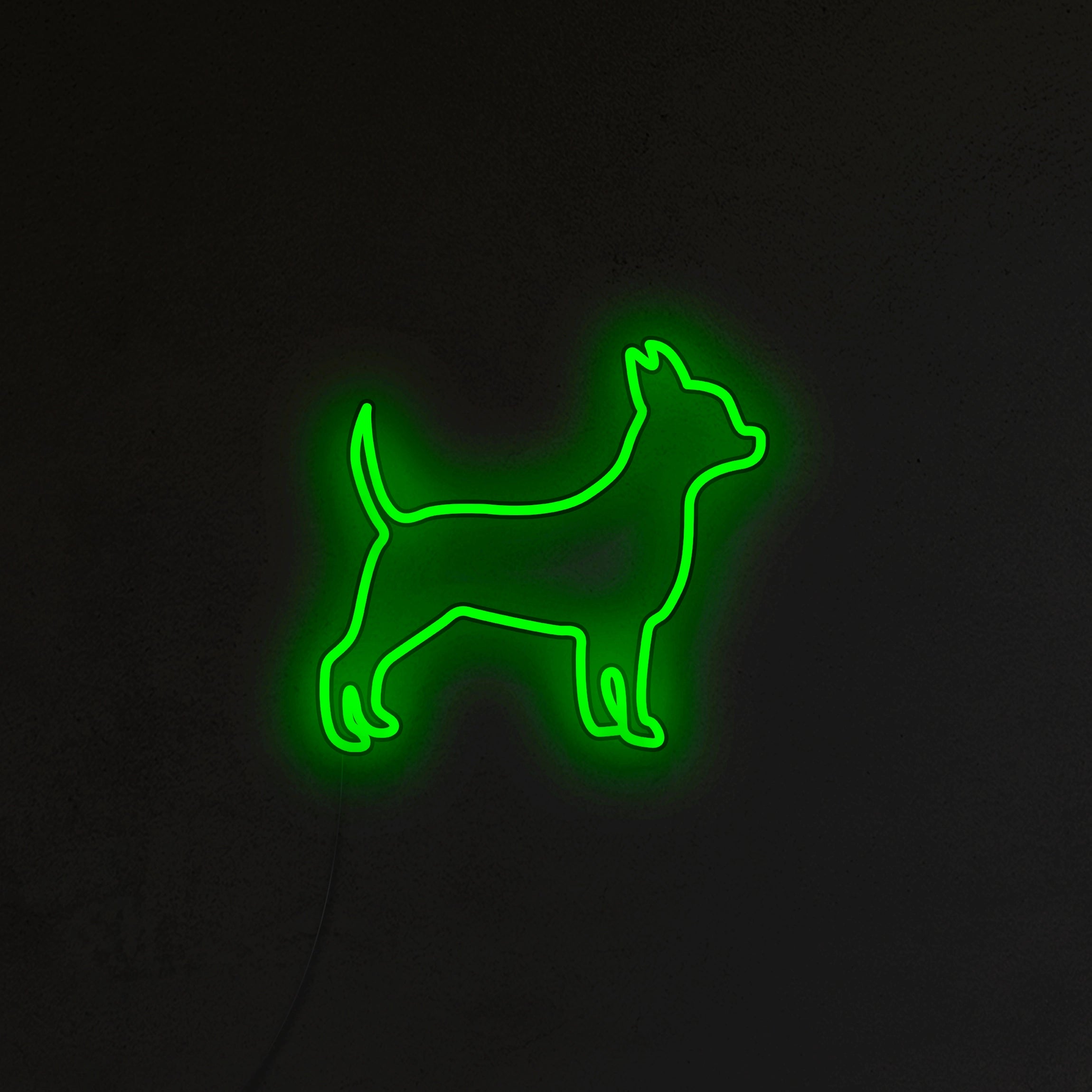 Chihuahua Neon LED