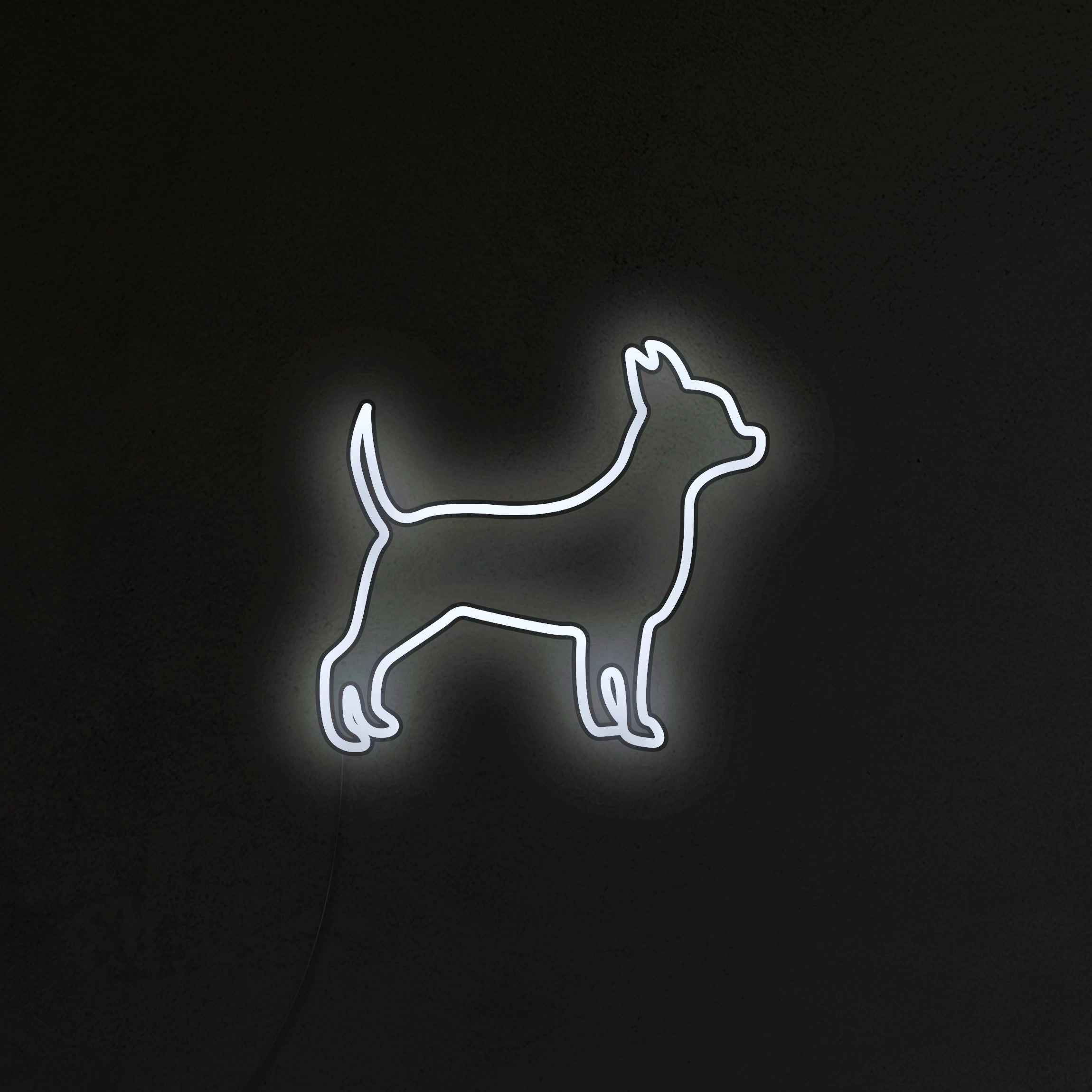 Chihuahua Neon LED