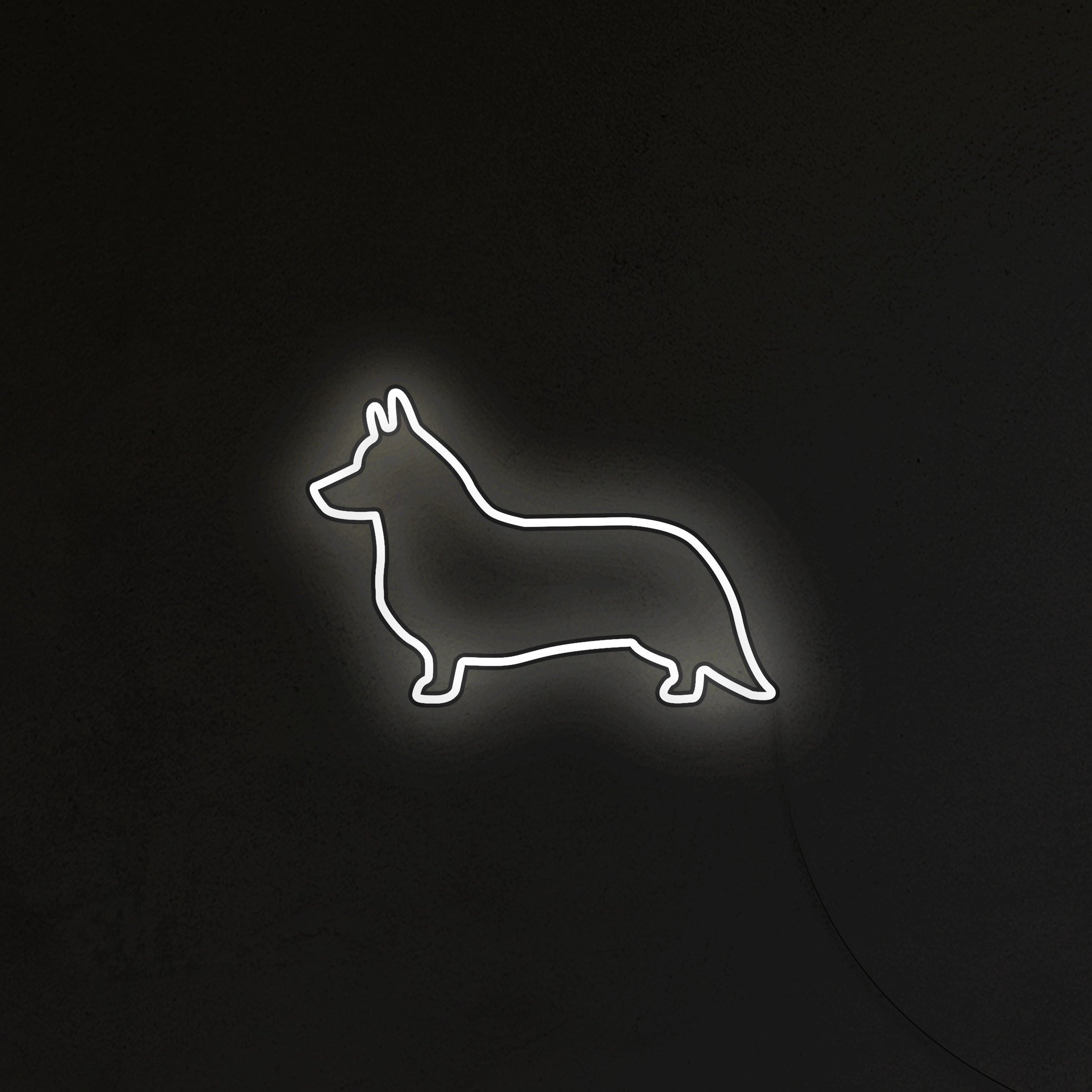 Corgi Neon LED