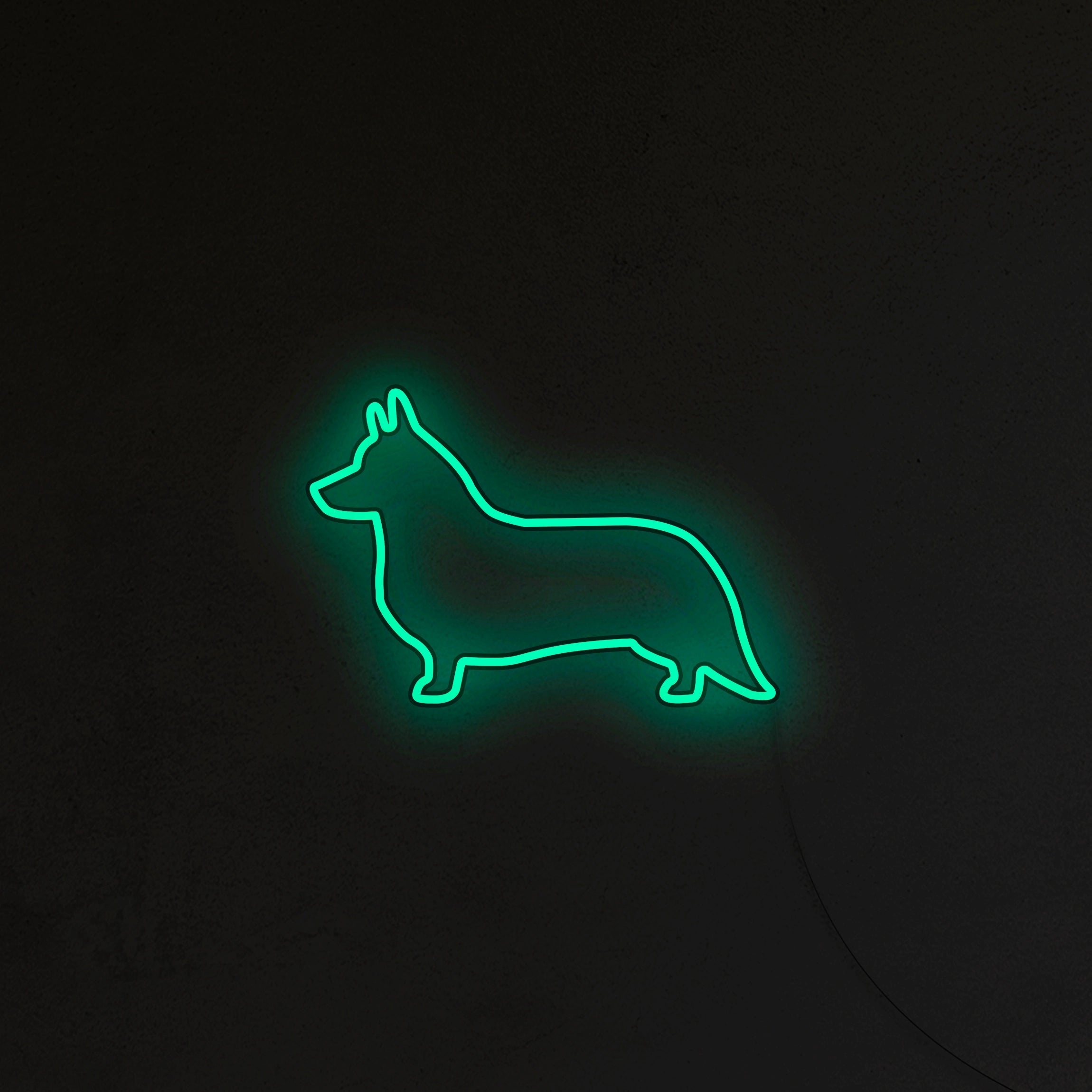 Corgi Neon LED