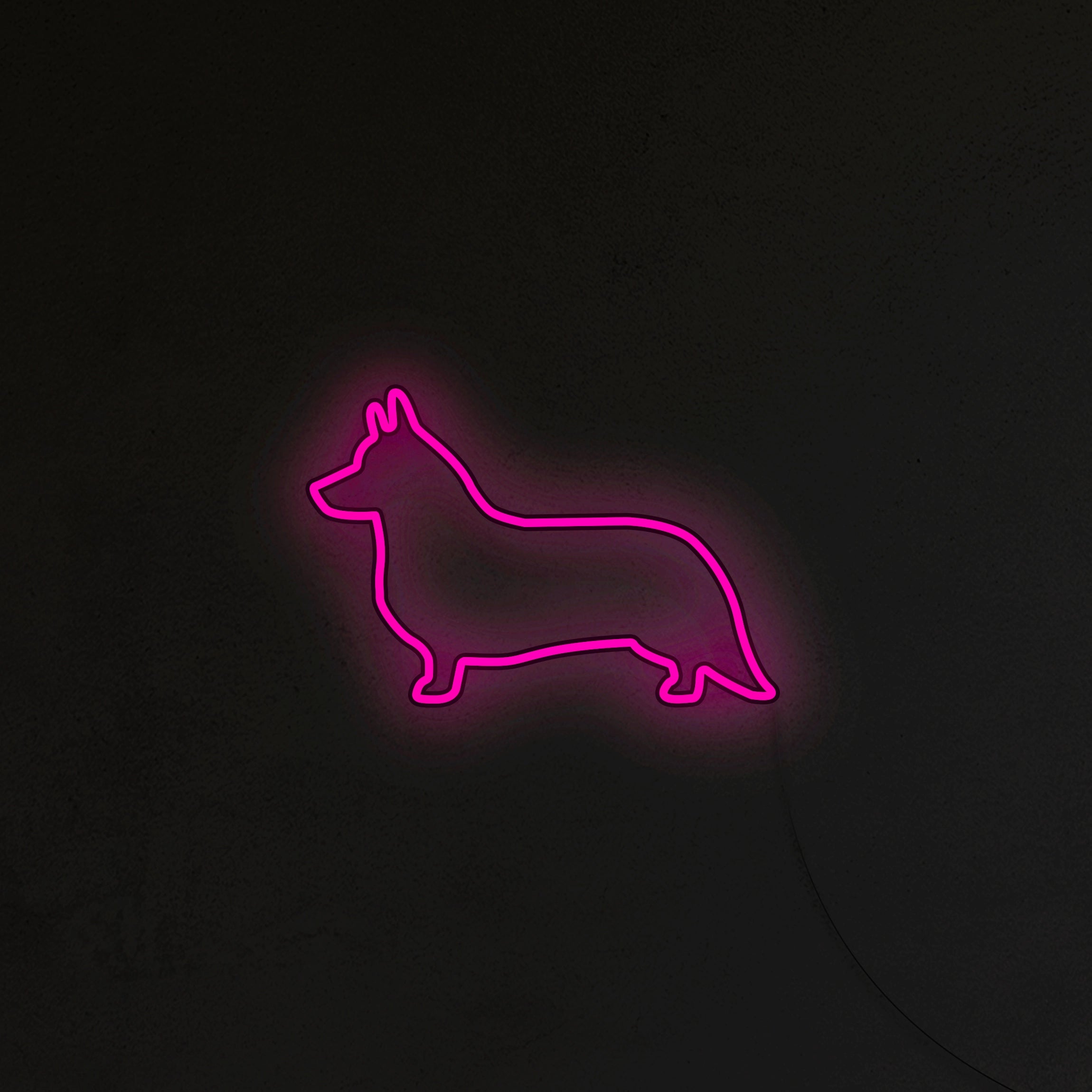 Corgi Neon LED