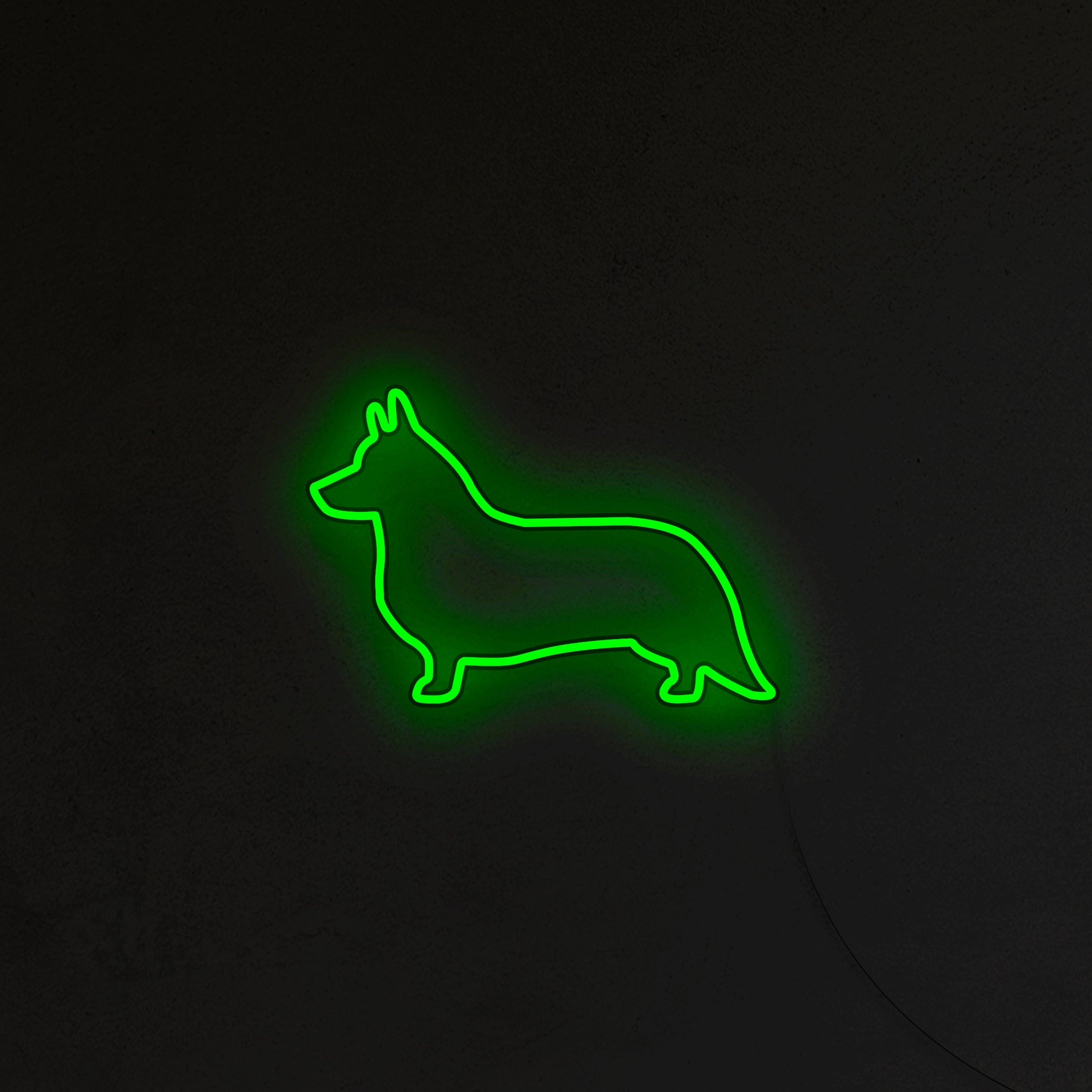 Corgi Neon LED