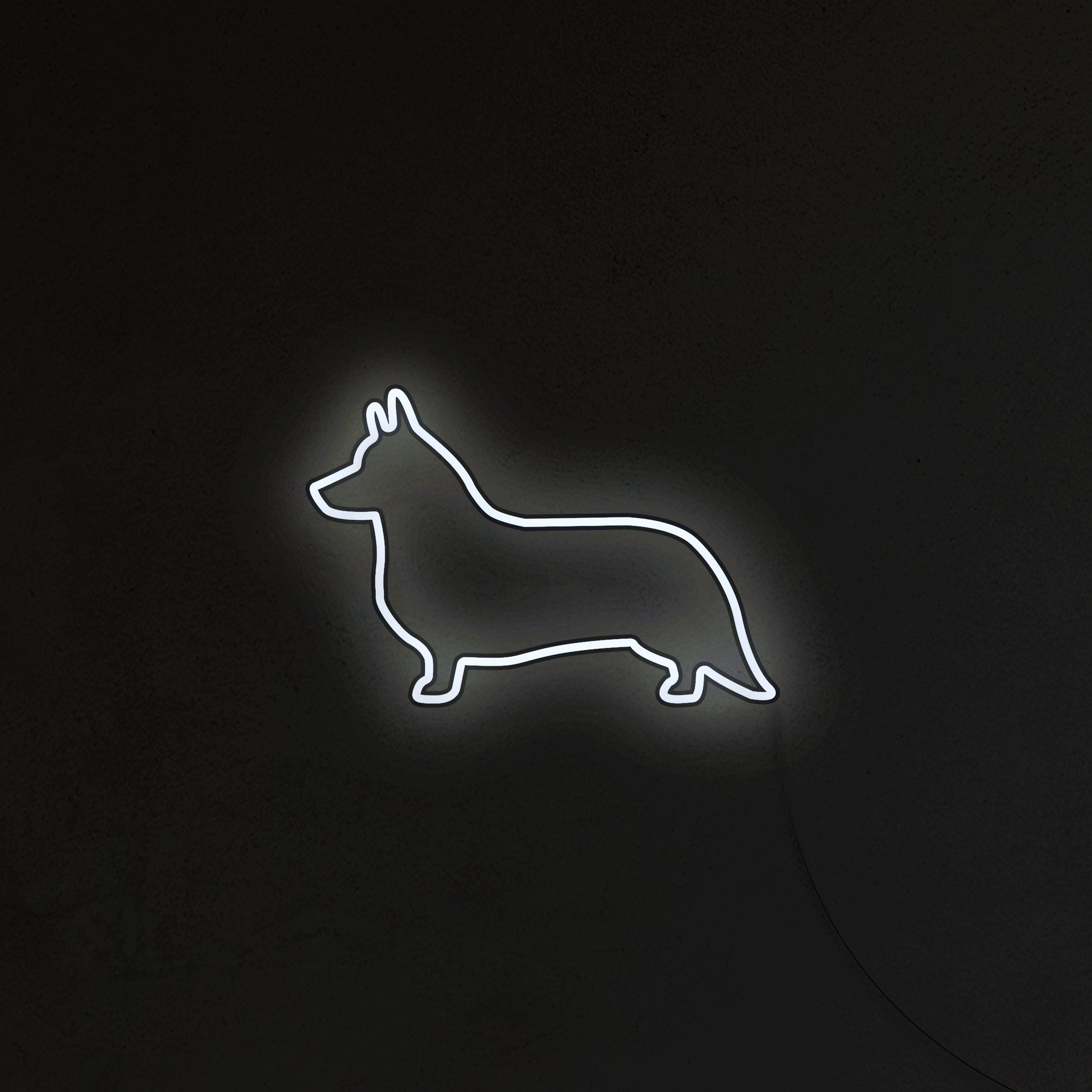 Corgi Neon LED