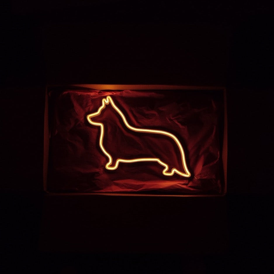Corgi Neon LED