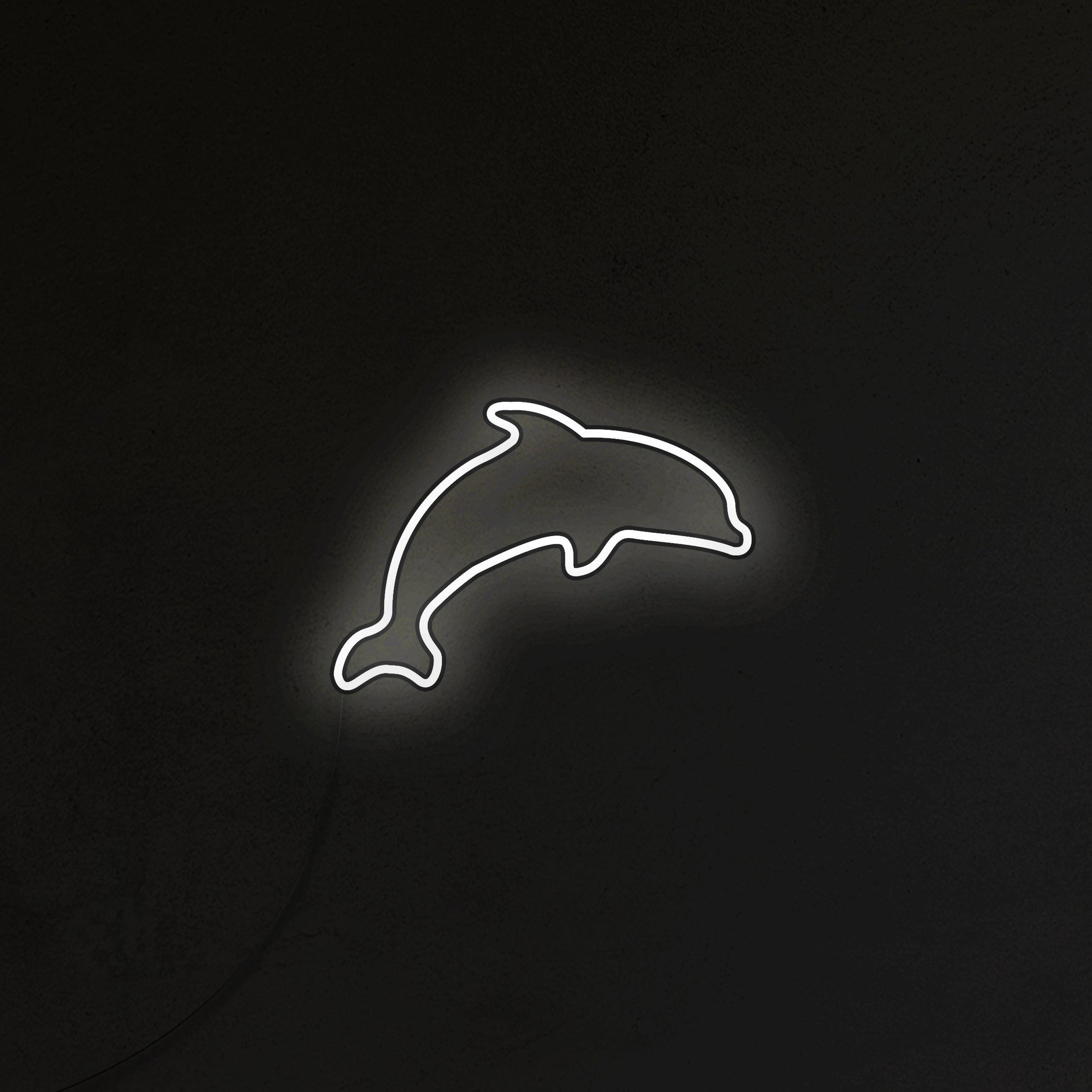 Delfin Neon LED